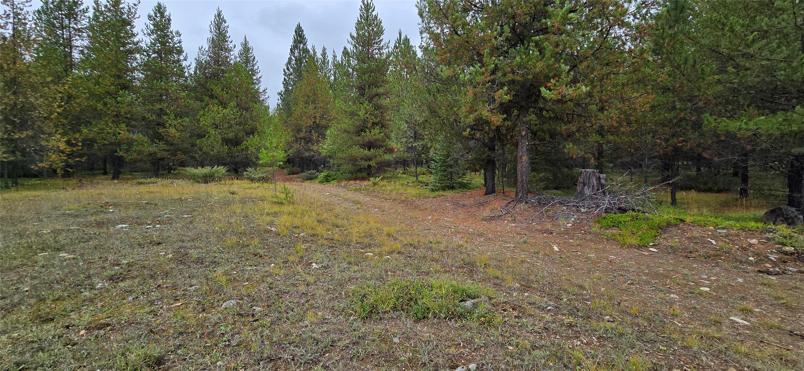 28341 Yaak River Road Property Photo 46