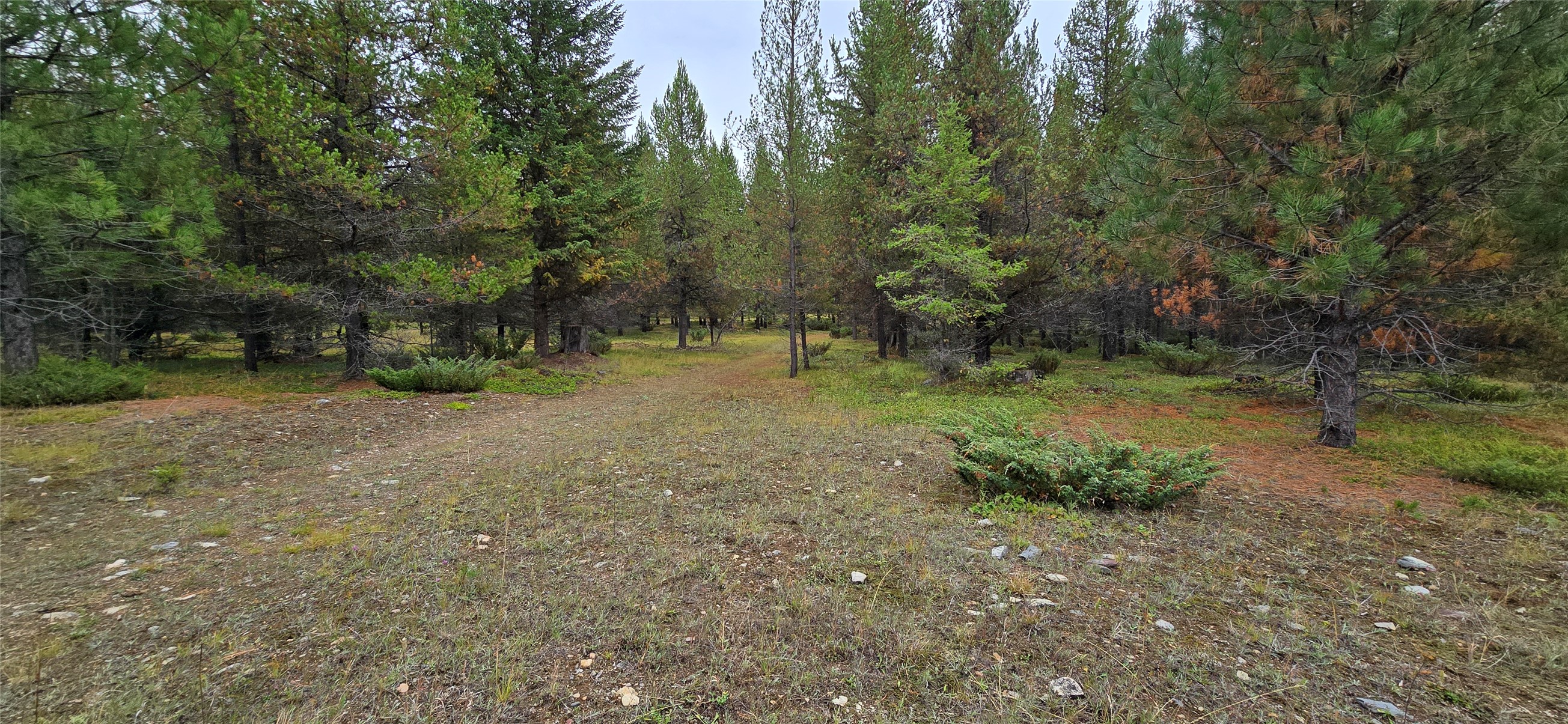 28341 Yaak River Road Property Photo 47