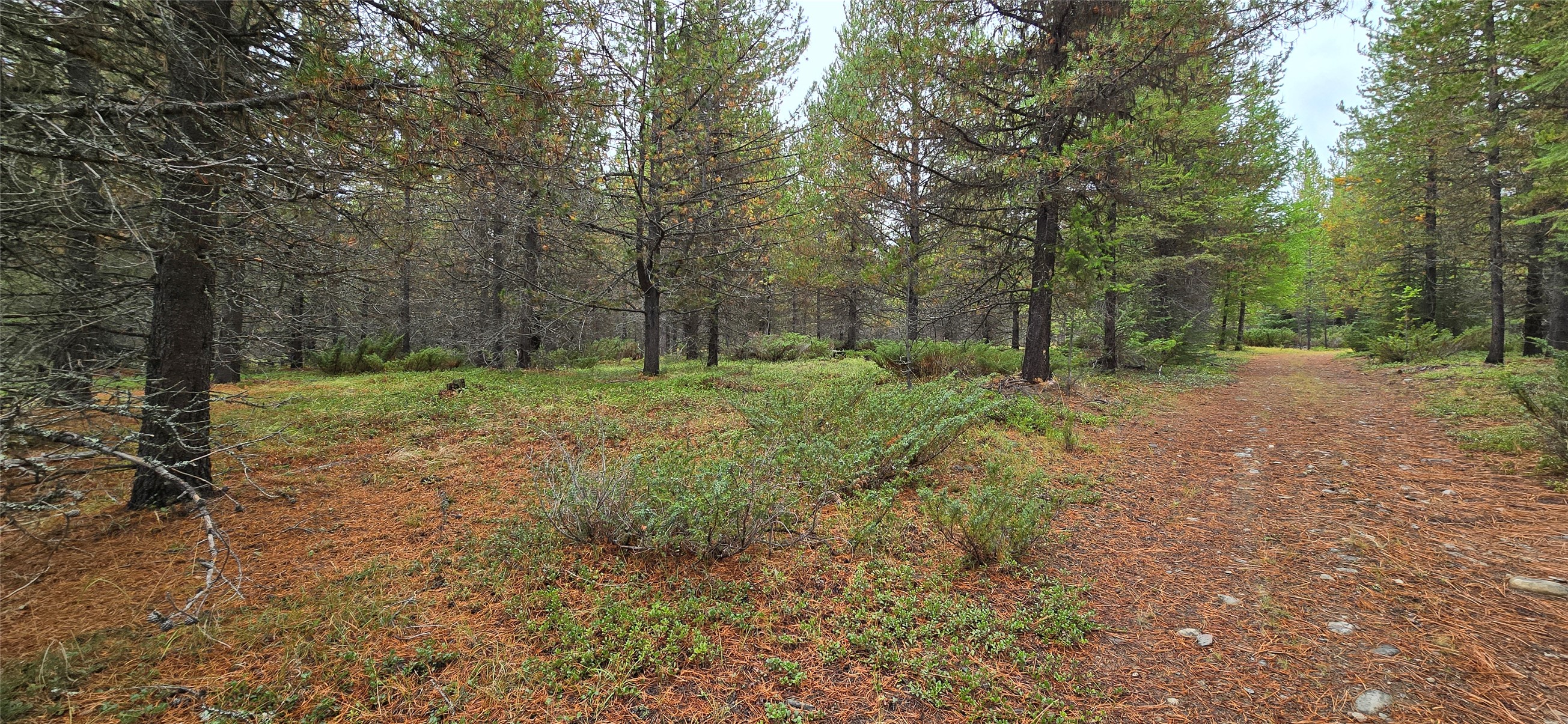 28341 Yaak River Road Property Photo 48