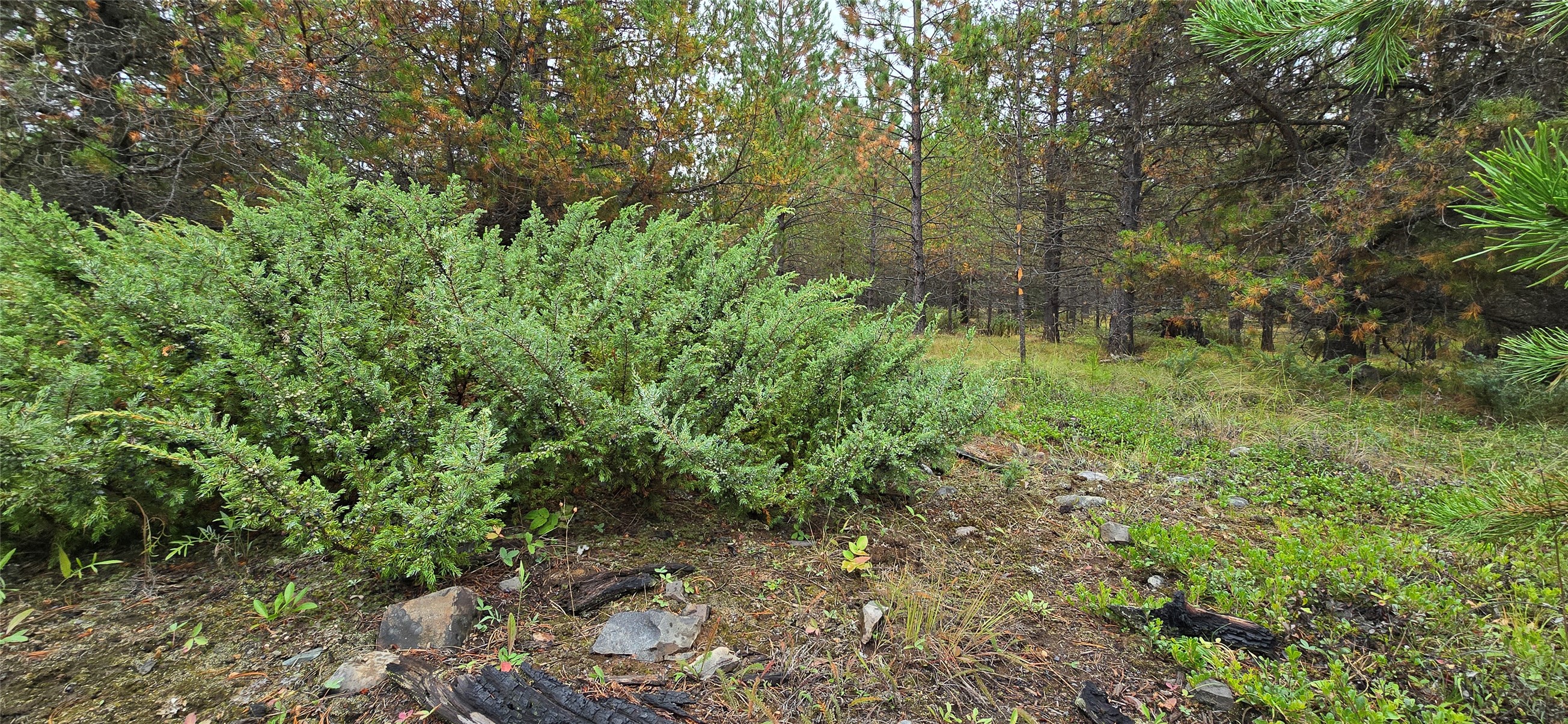 28341 Yaak River Road Property Photo 50