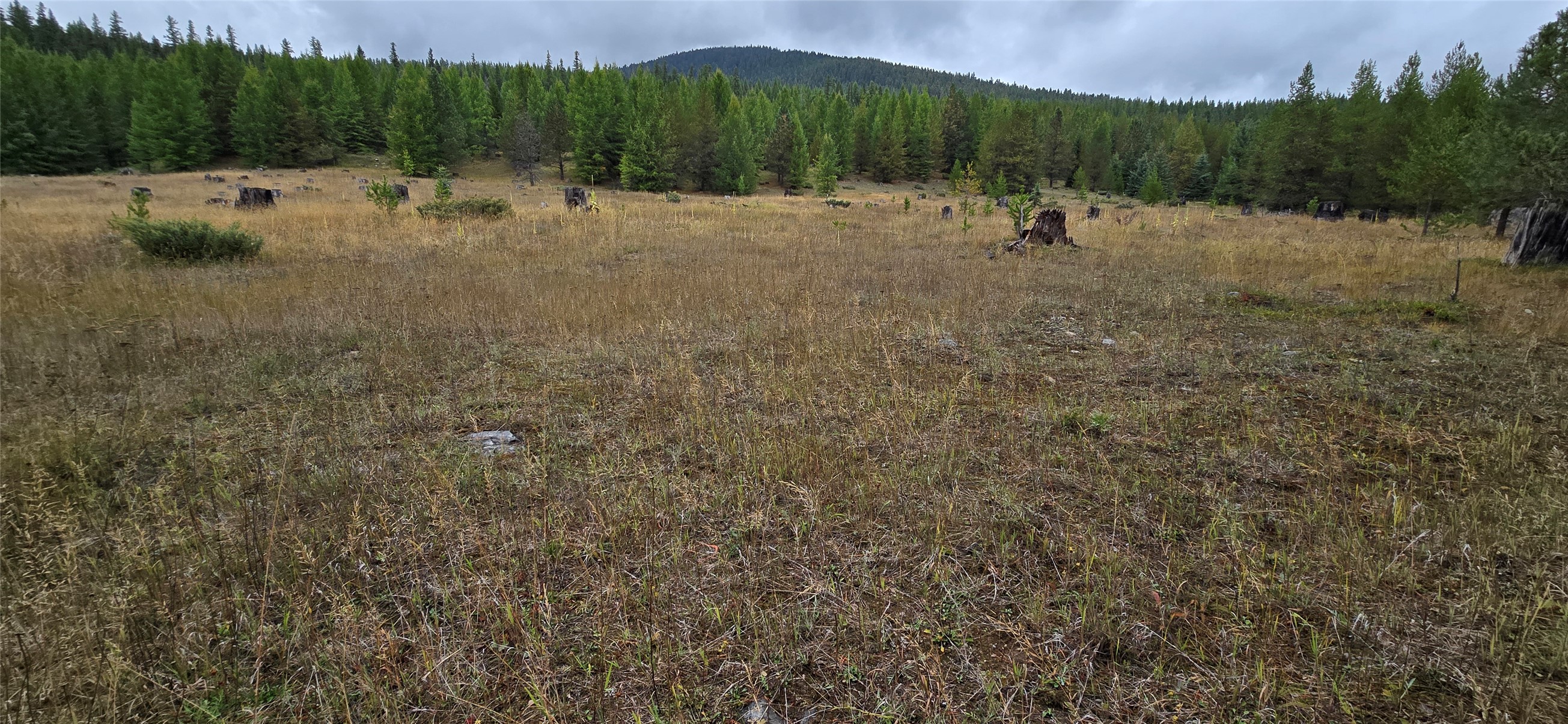 28341 Yaak River Road Property Photo 55