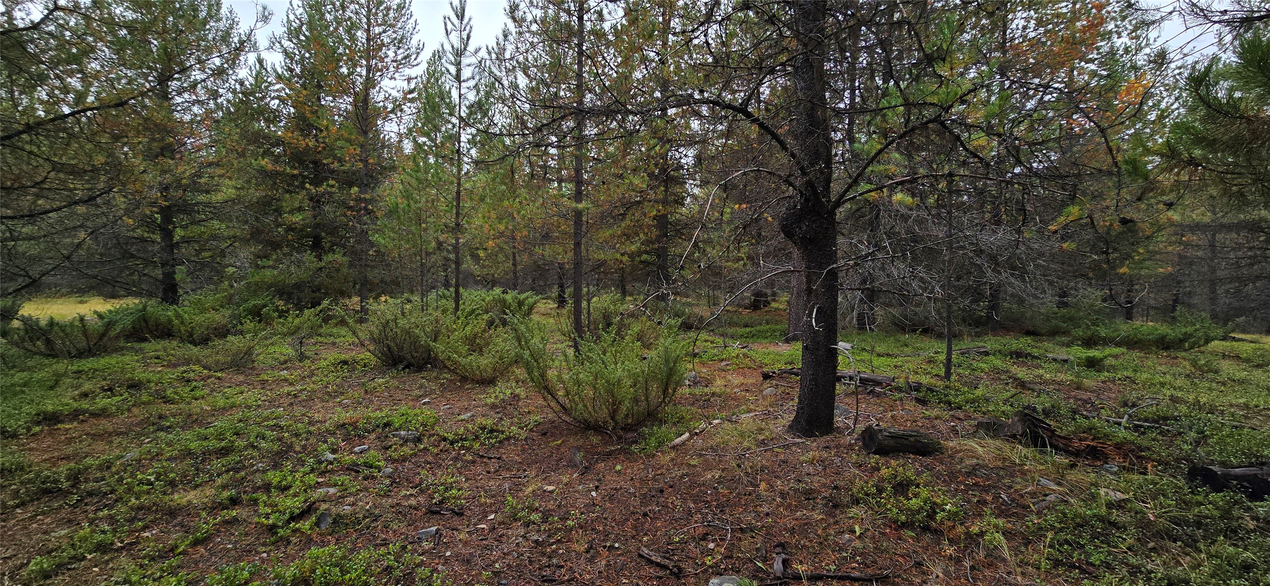 28341 Yaak River Road Property Photo 57
