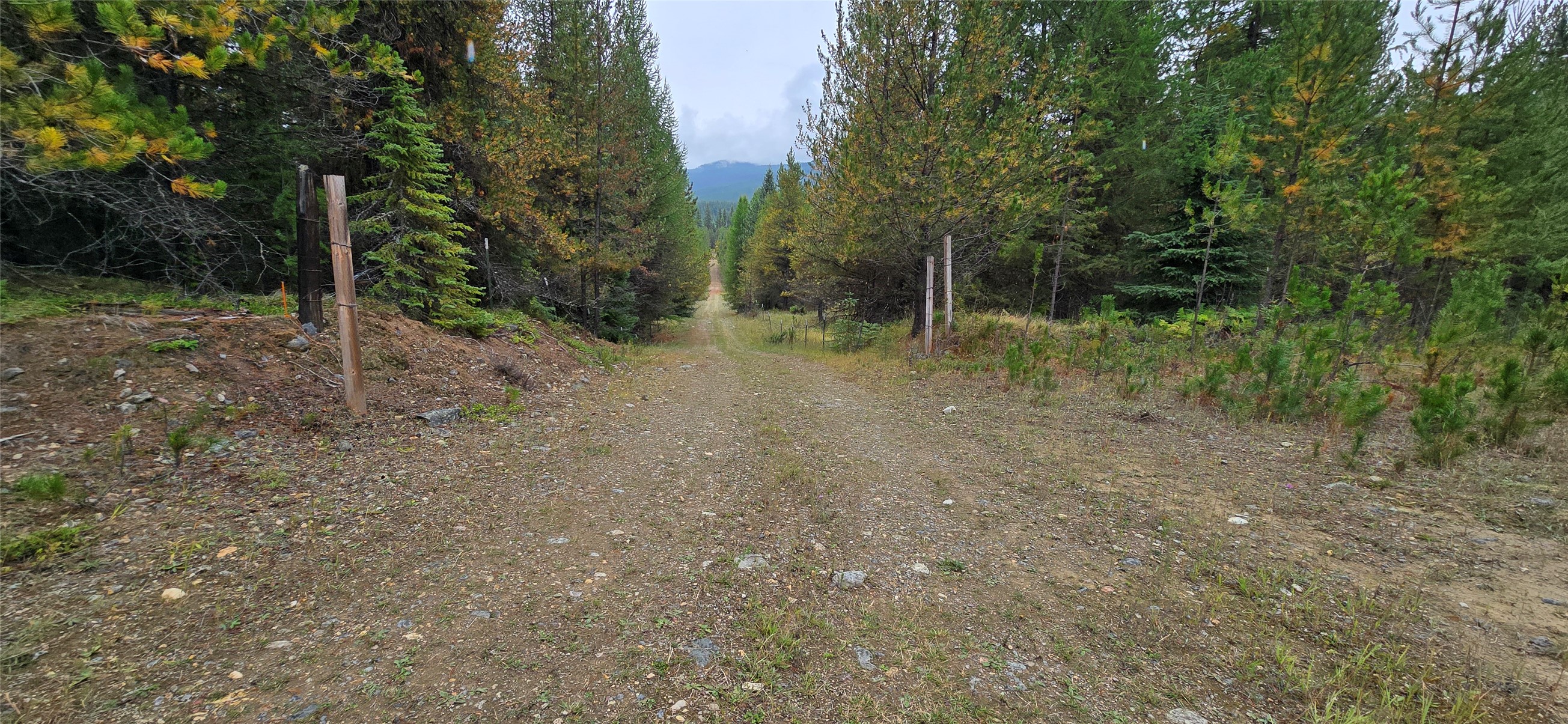 28341 Yaak River Road Property Photo 59