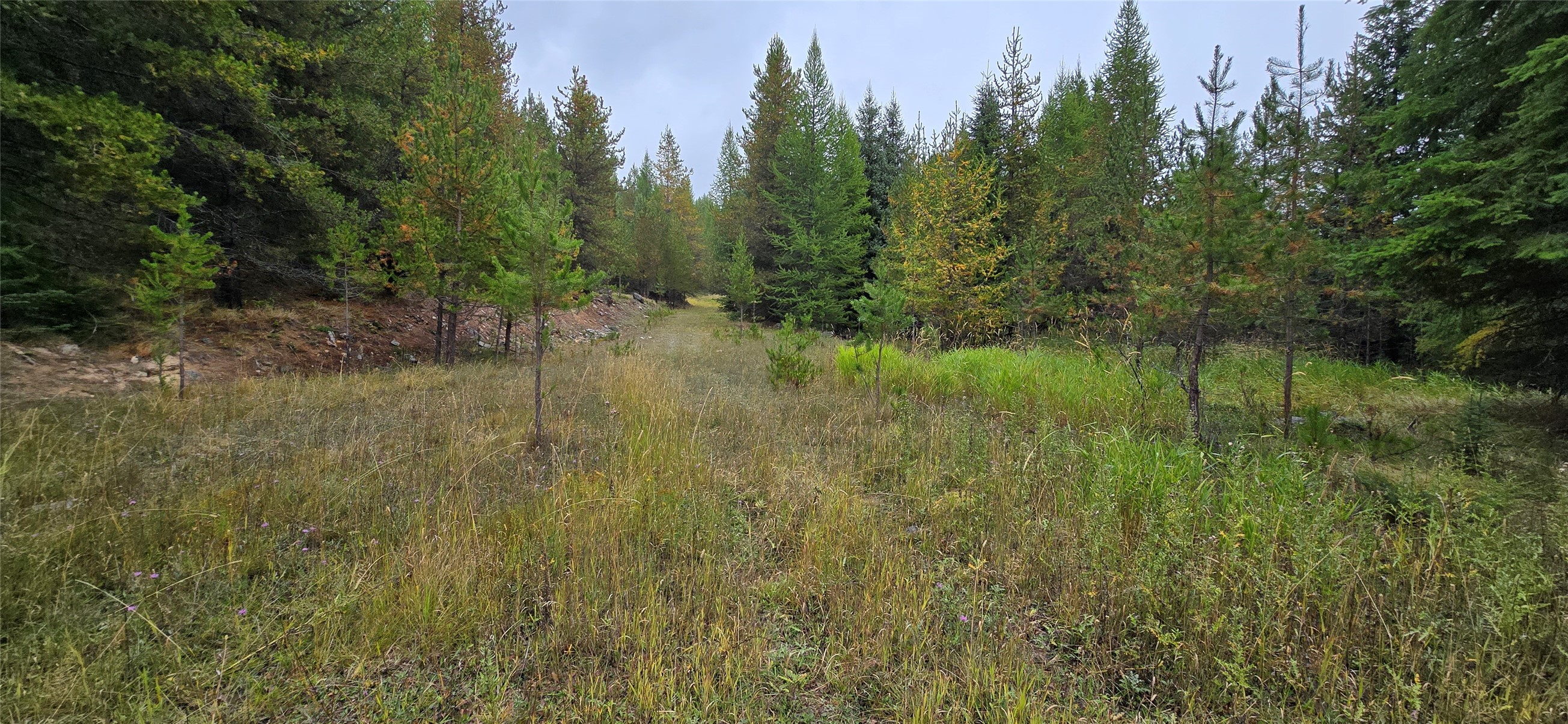 28341 Yaak River Road Property Photo 60