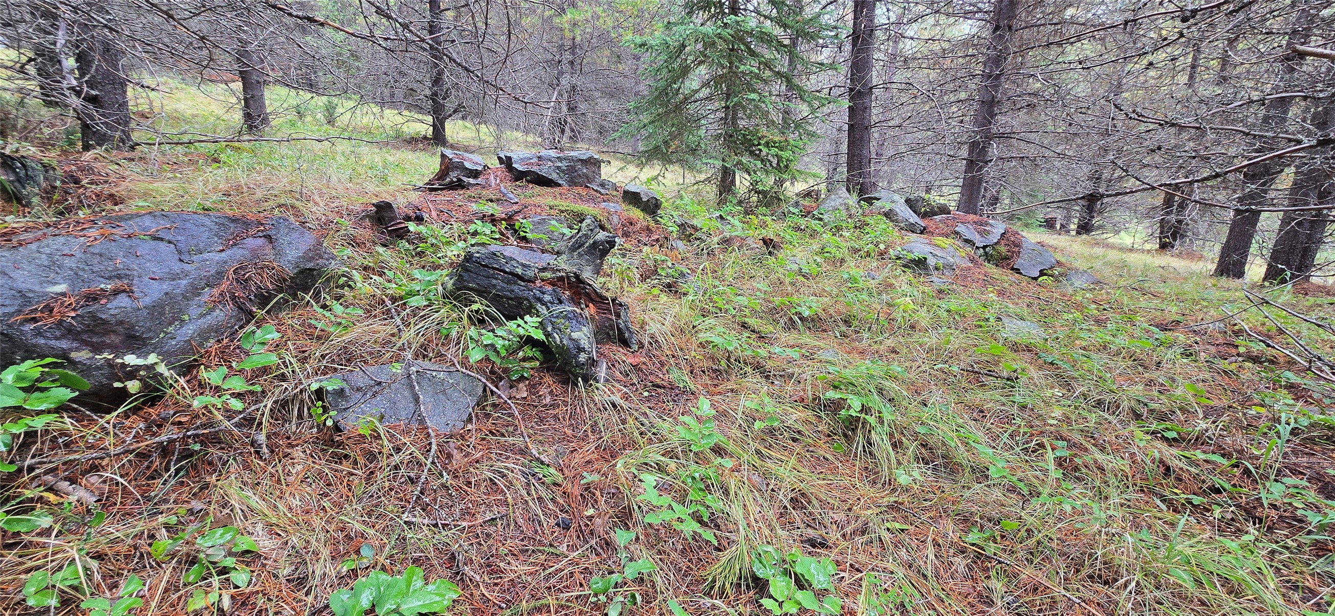 28341 Yaak River Road Property Photo 62