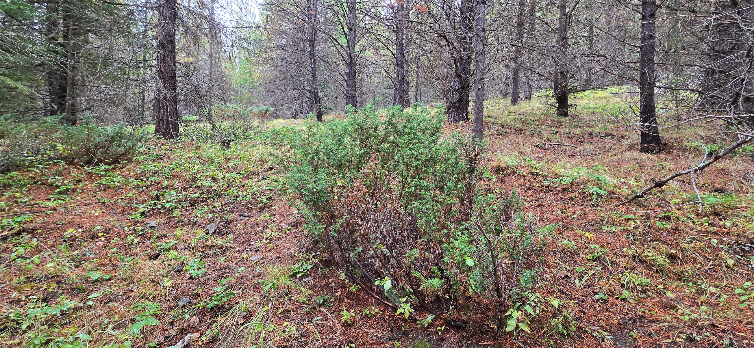 28341 Yaak River Road Property Photo 63