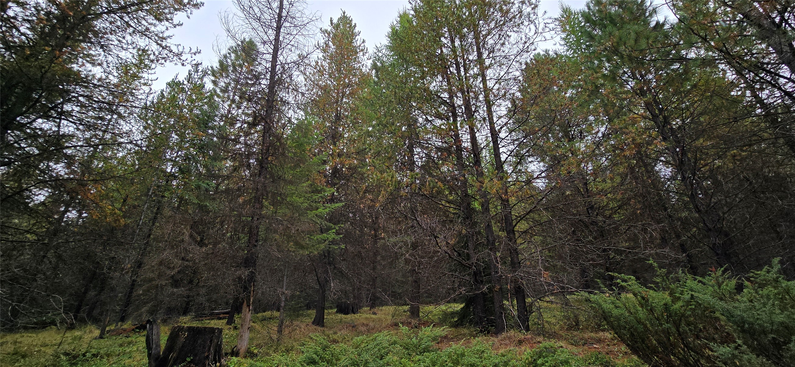 28341 Yaak River Road Property Photo 65