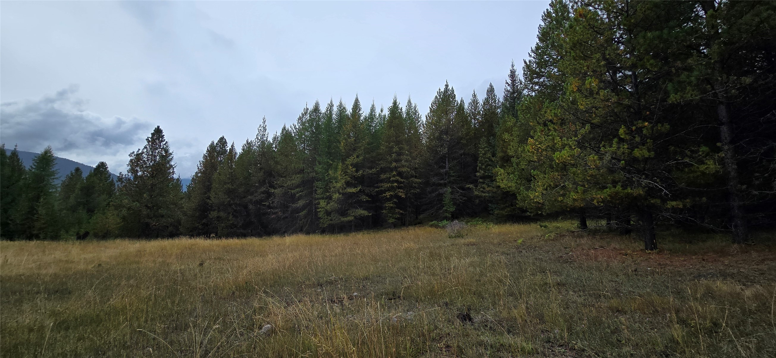 28341 Yaak River Road Property Photo 66