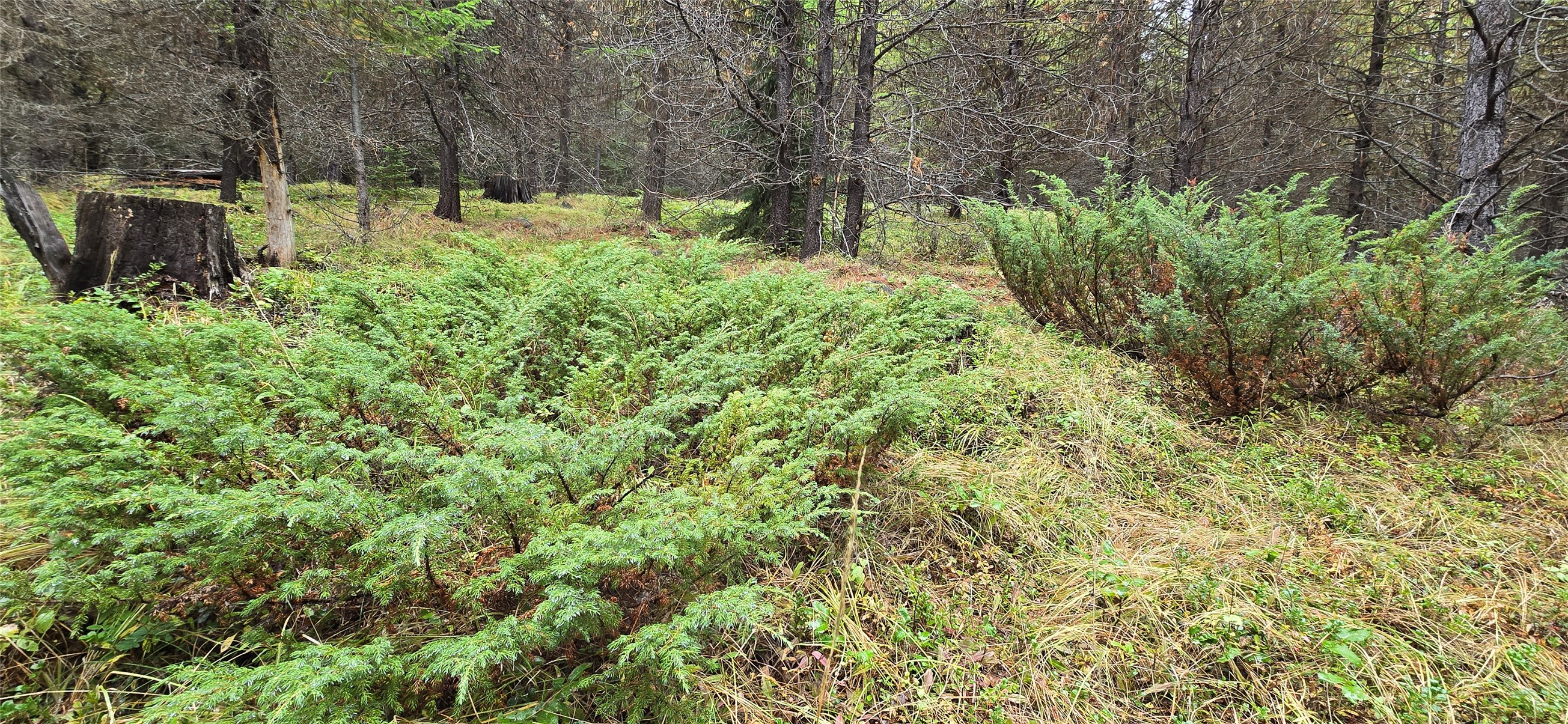 28341 Yaak River Road Property Photo 67