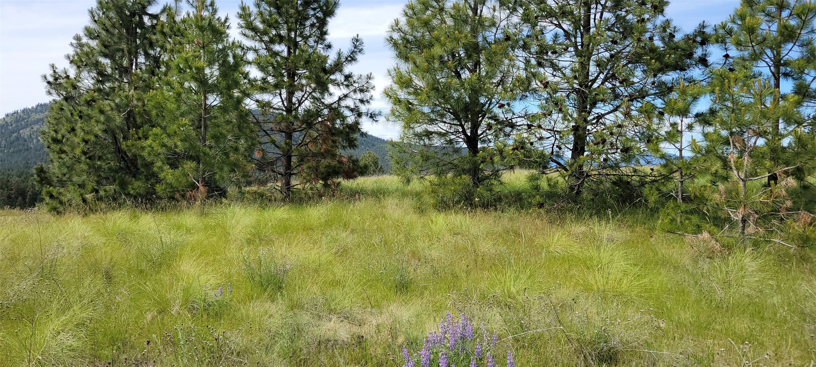 Nhn Sunrise Heights Property Photo 6