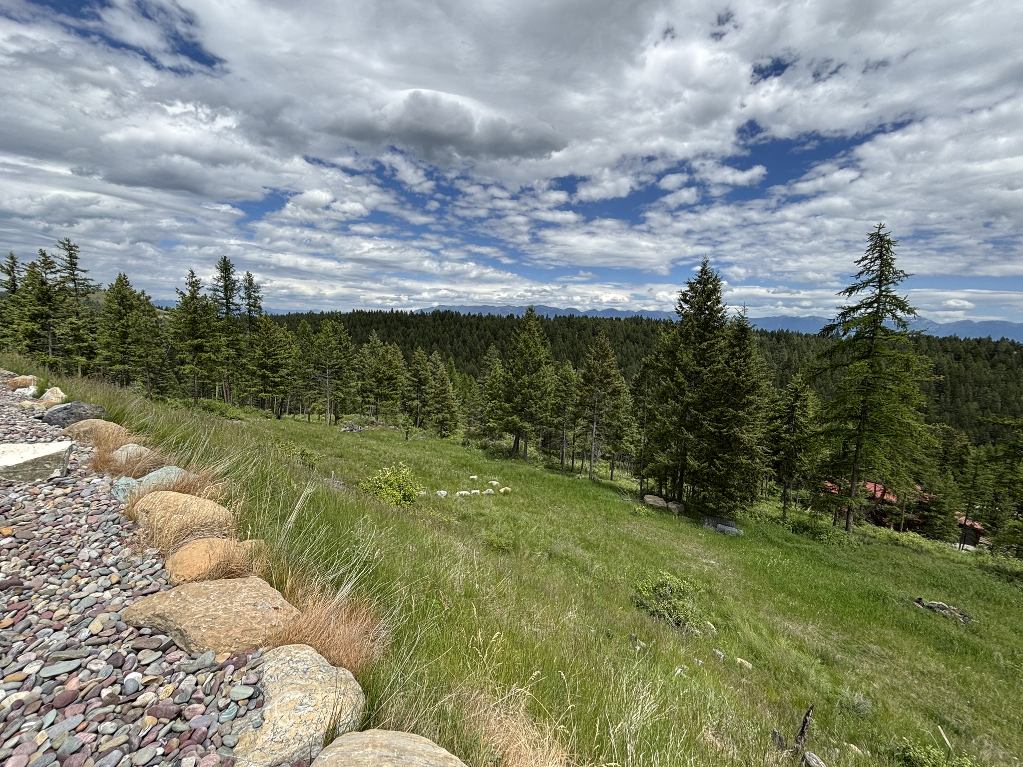 67 Overlook Ridge Property Photo 54