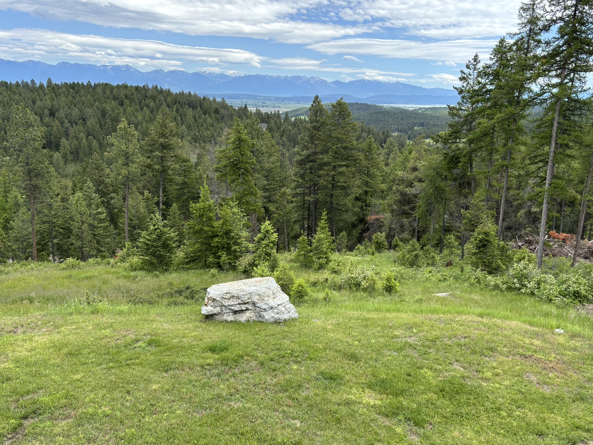 67 Overlook Ridge Property Photo 58