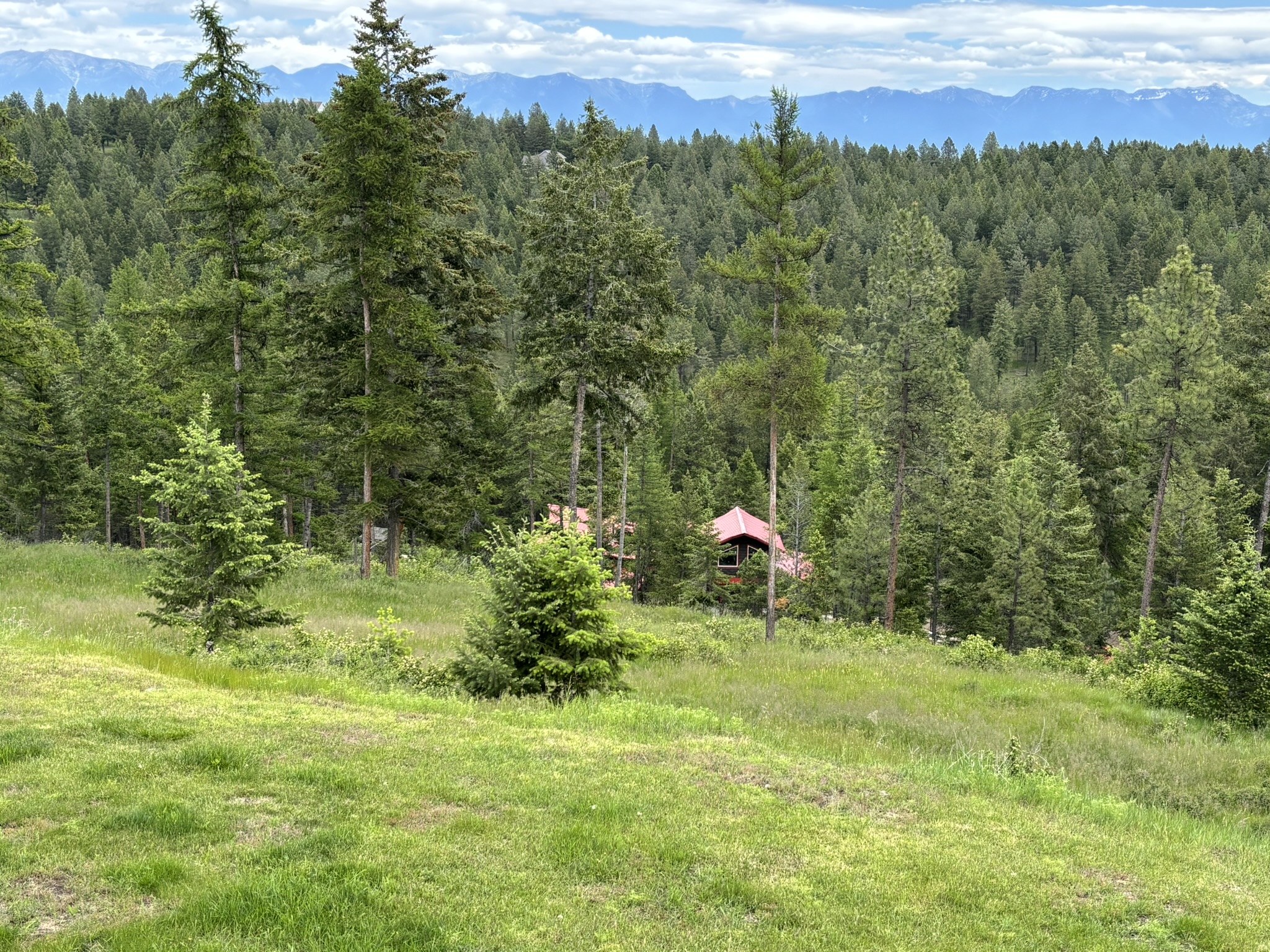 67 Overlook Ridge Property Photo 60