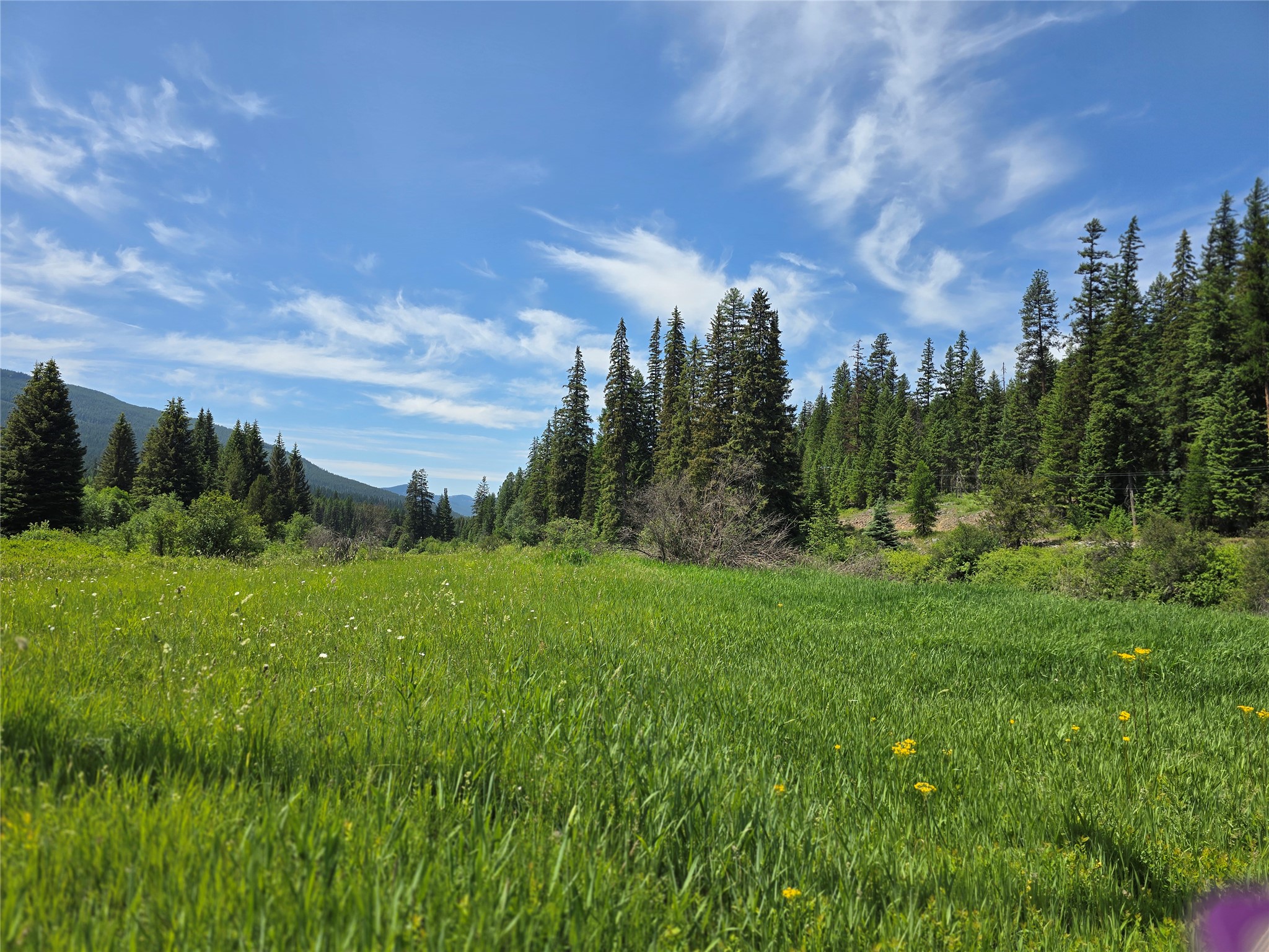 670 Gus Creek Road Property Photo 49
