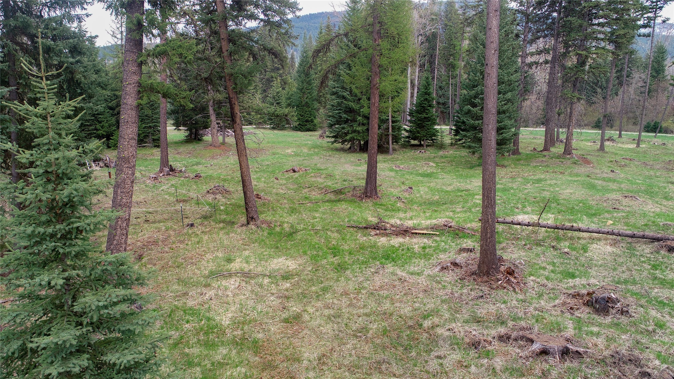 79 Fallen Bear Lane Property Photo 6