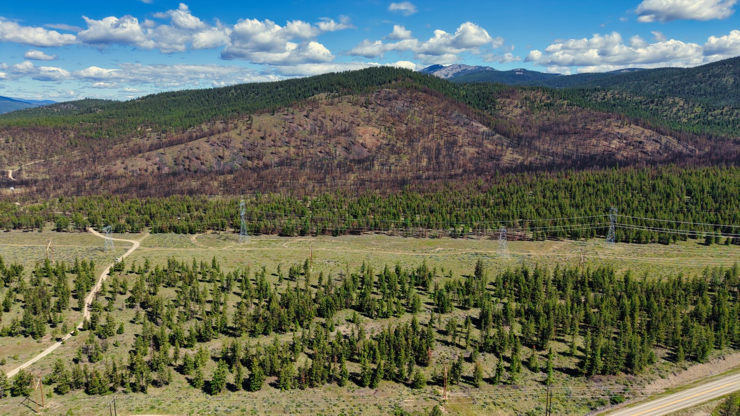 Nhn Hwy 28 Property Photo 9