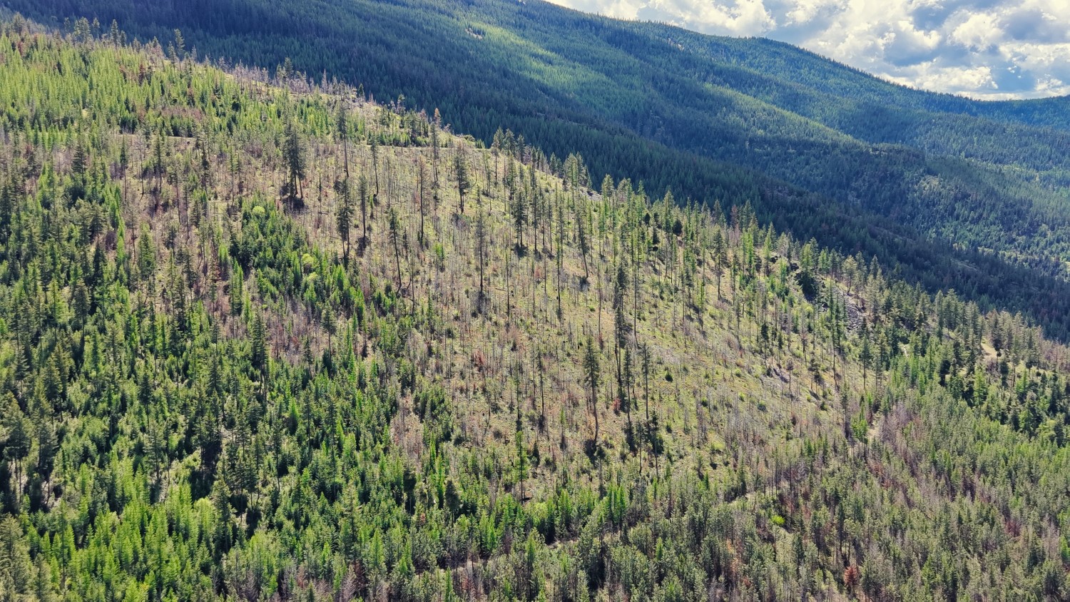 Nhn Hwy 28 Property Photo 16