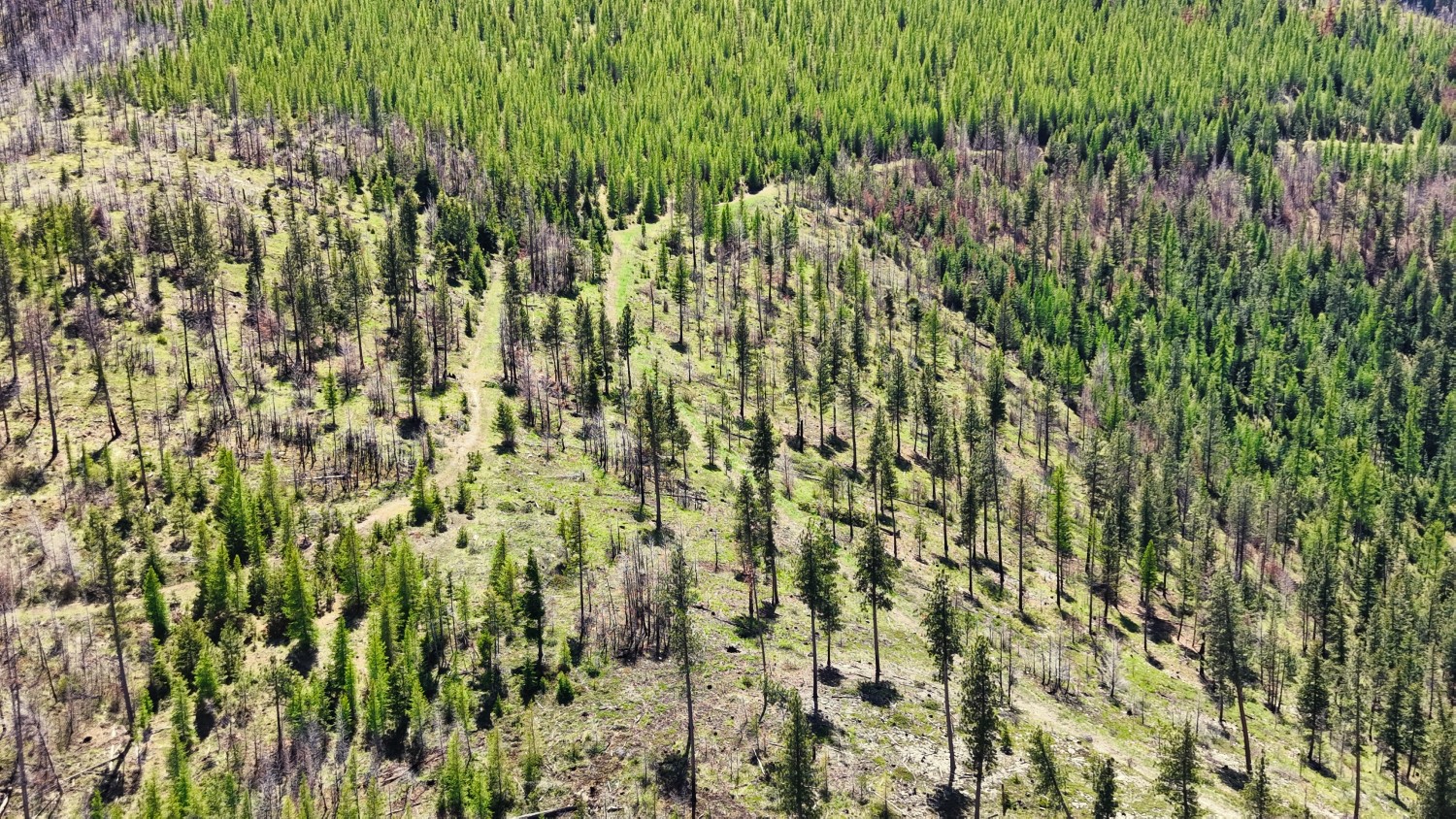 Nhn Hwy 28 Property Photo 18