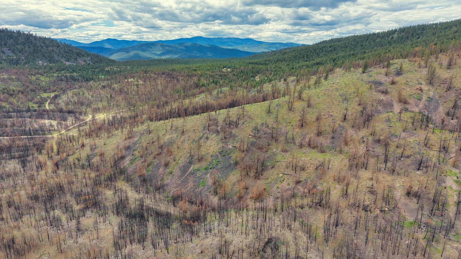 Nhn Hwy 28 Property Photo 43