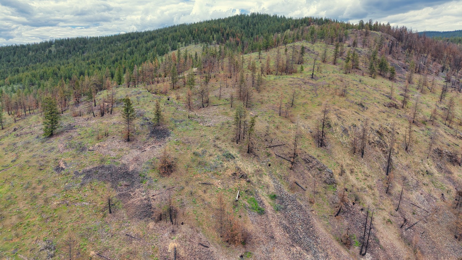 Nhn Hwy 28 Property Photo 44