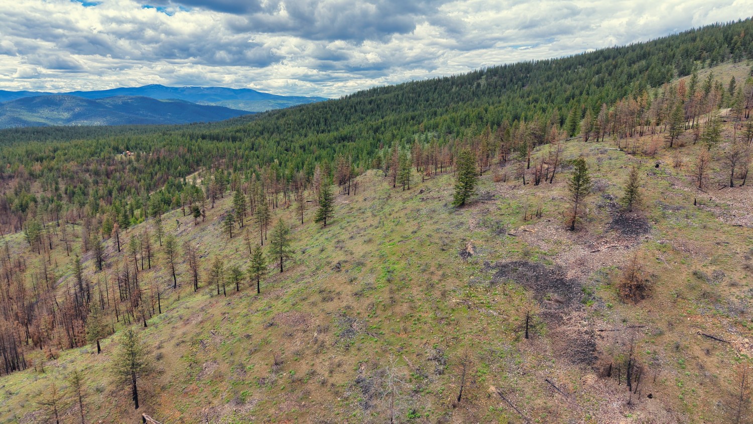 Nhn Hwy 28 Property Photo 45