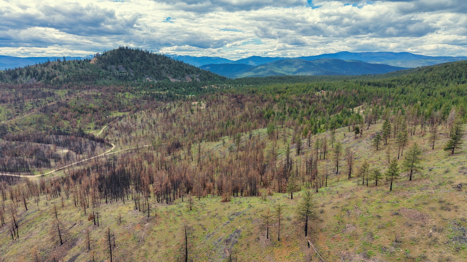 Nhn Hwy 28 Property Photo 46