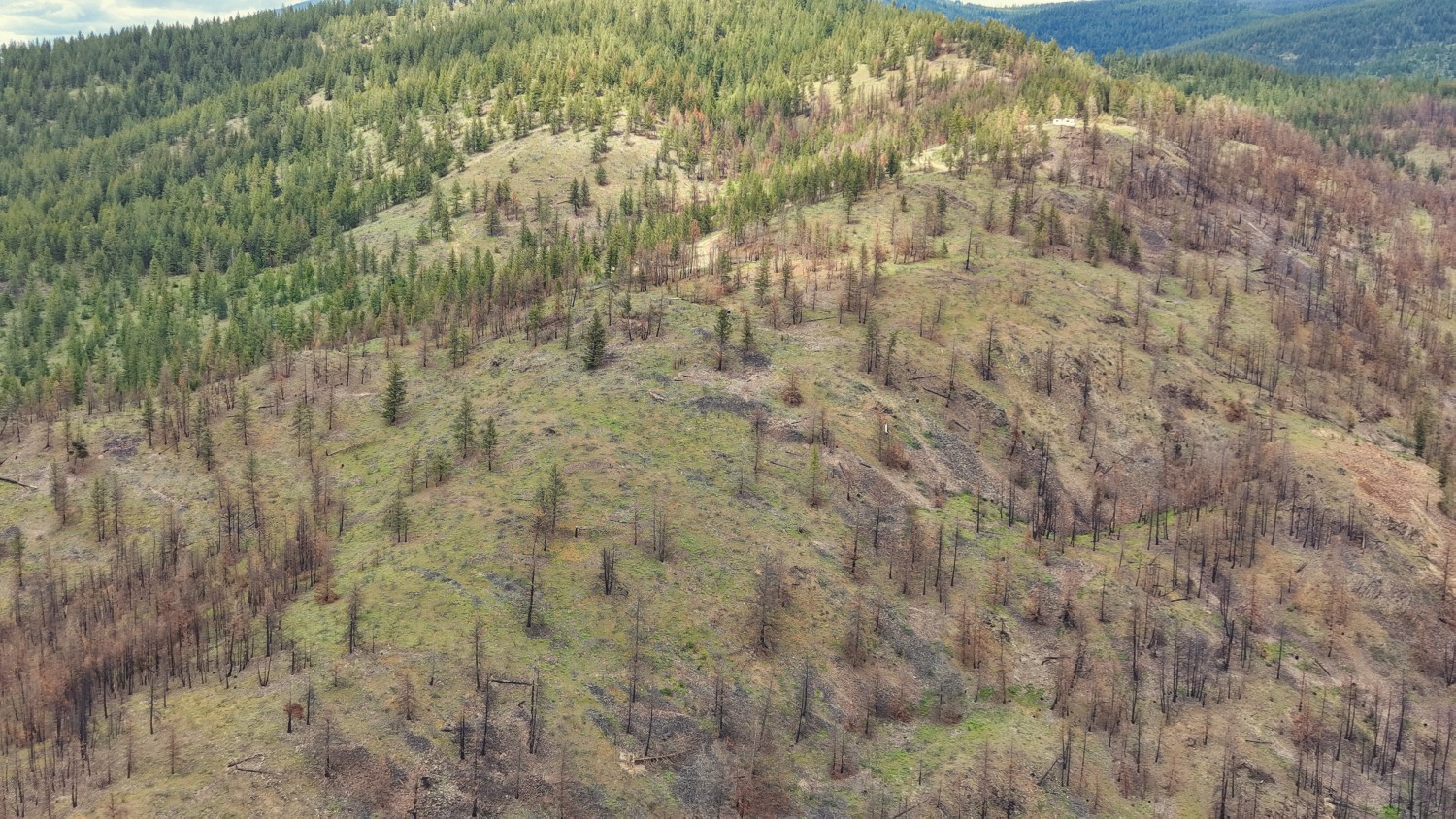 Nhn Hwy 28 Property Photo 49