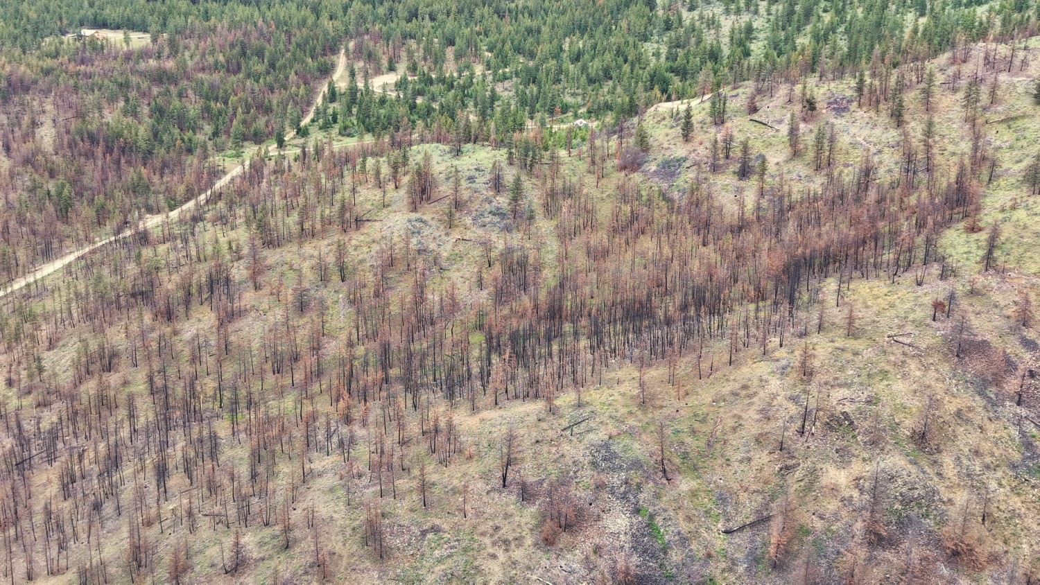Nhn Hwy 28 Property Photo 50