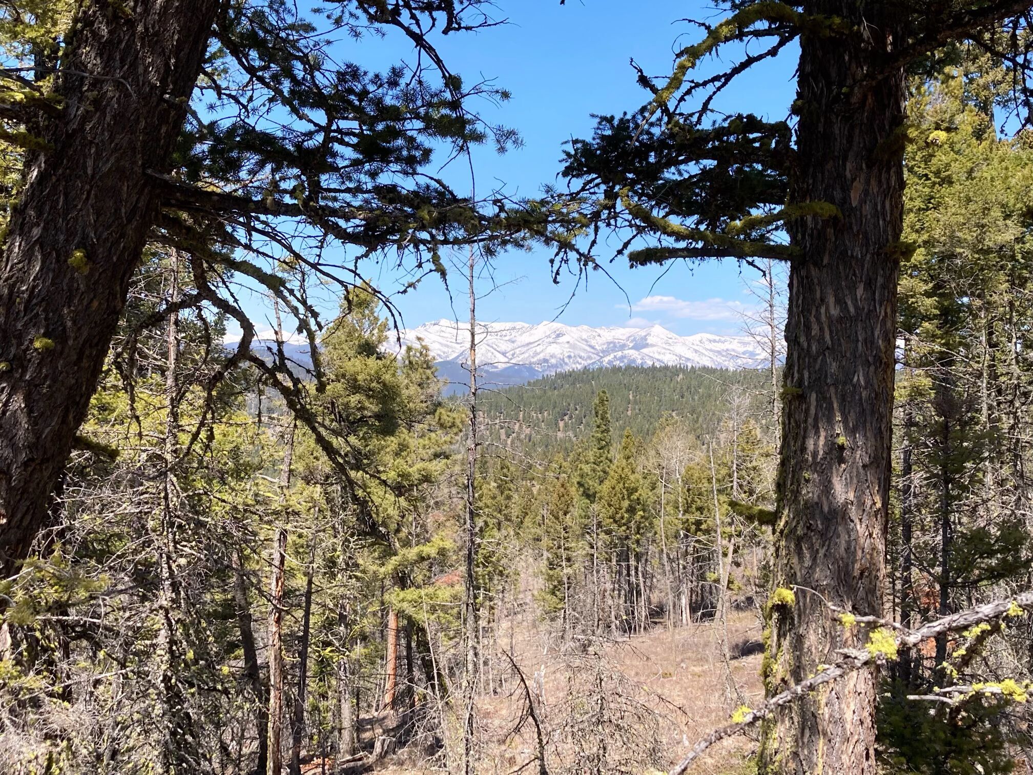 3595 Bear Gulch Road Property Photo 1