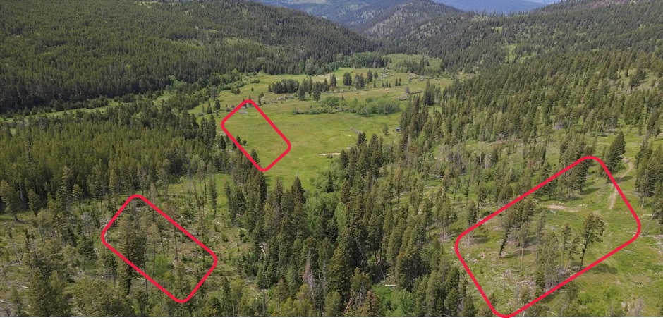 3595 Bear Gulch Road Property Photo 5
