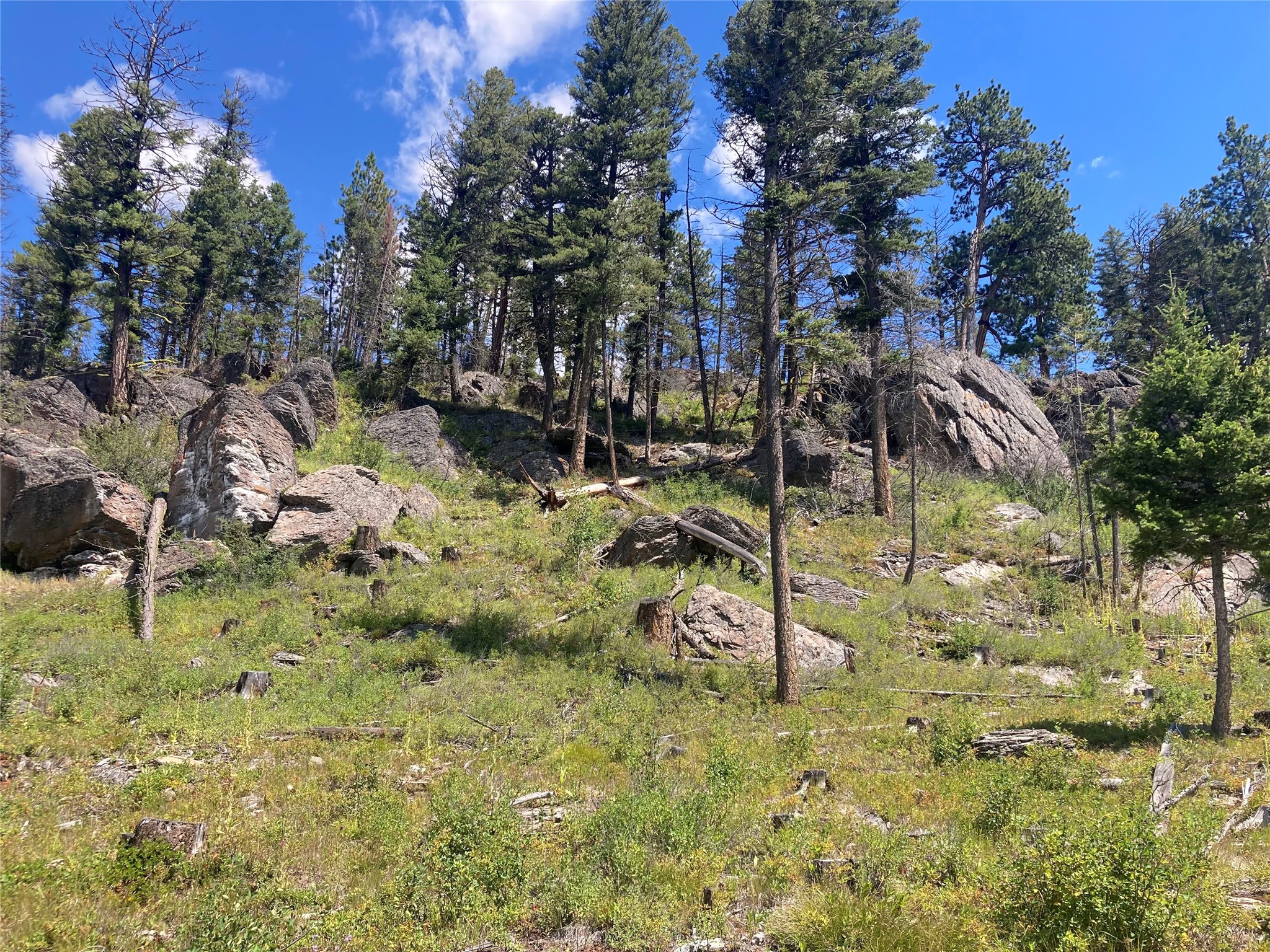 3595 Bear Gulch Road Property Photo 6