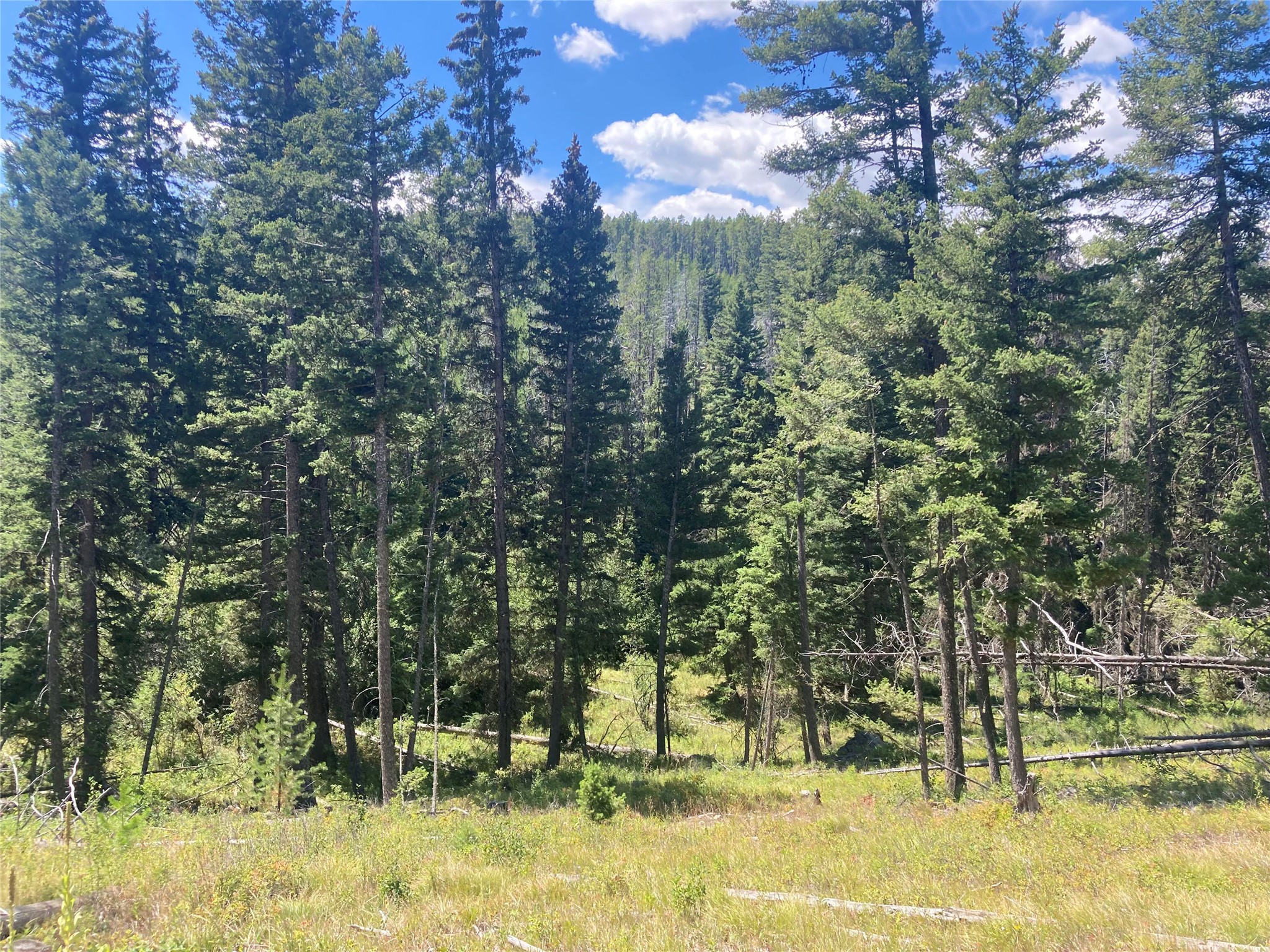 3595 Bear Gulch Road Property Photo 7