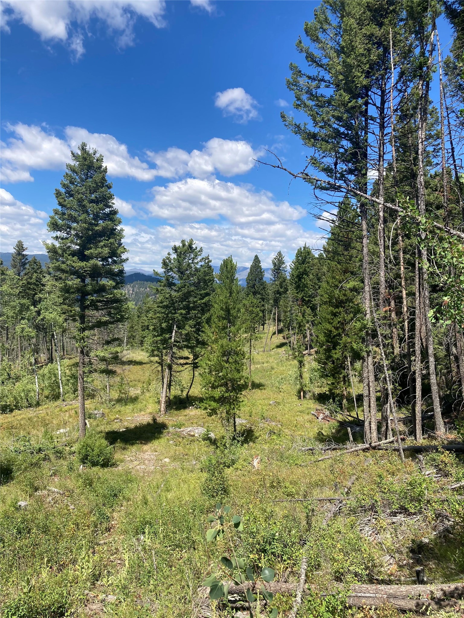 3595 Bear Gulch Road Property Photo 9