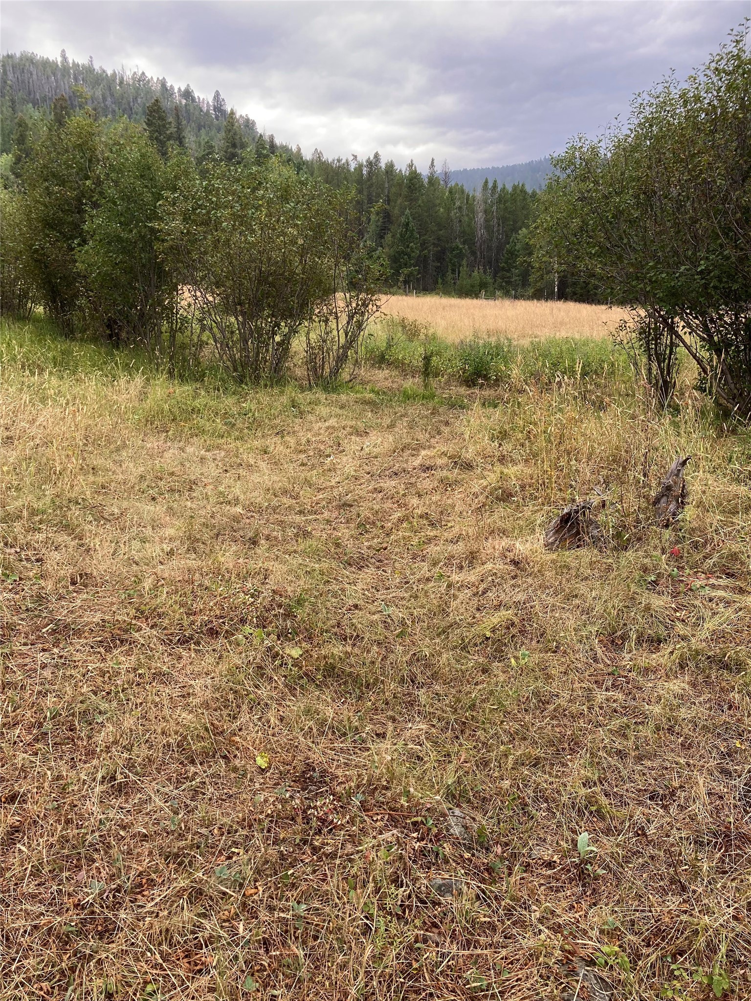3595 Bear Gulch Road Property Photo 13
