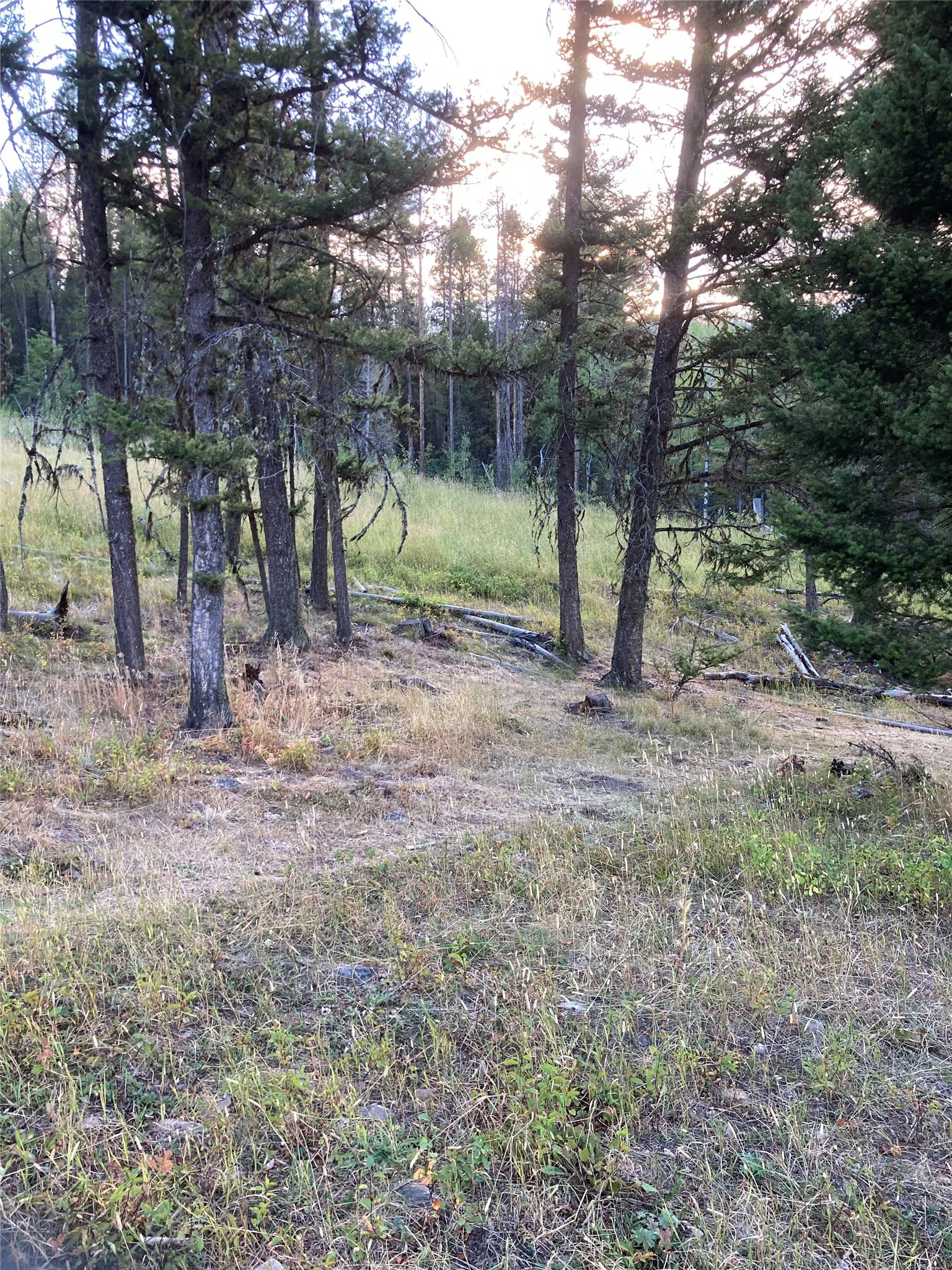 3595 Bear Gulch Road Property Photo 14