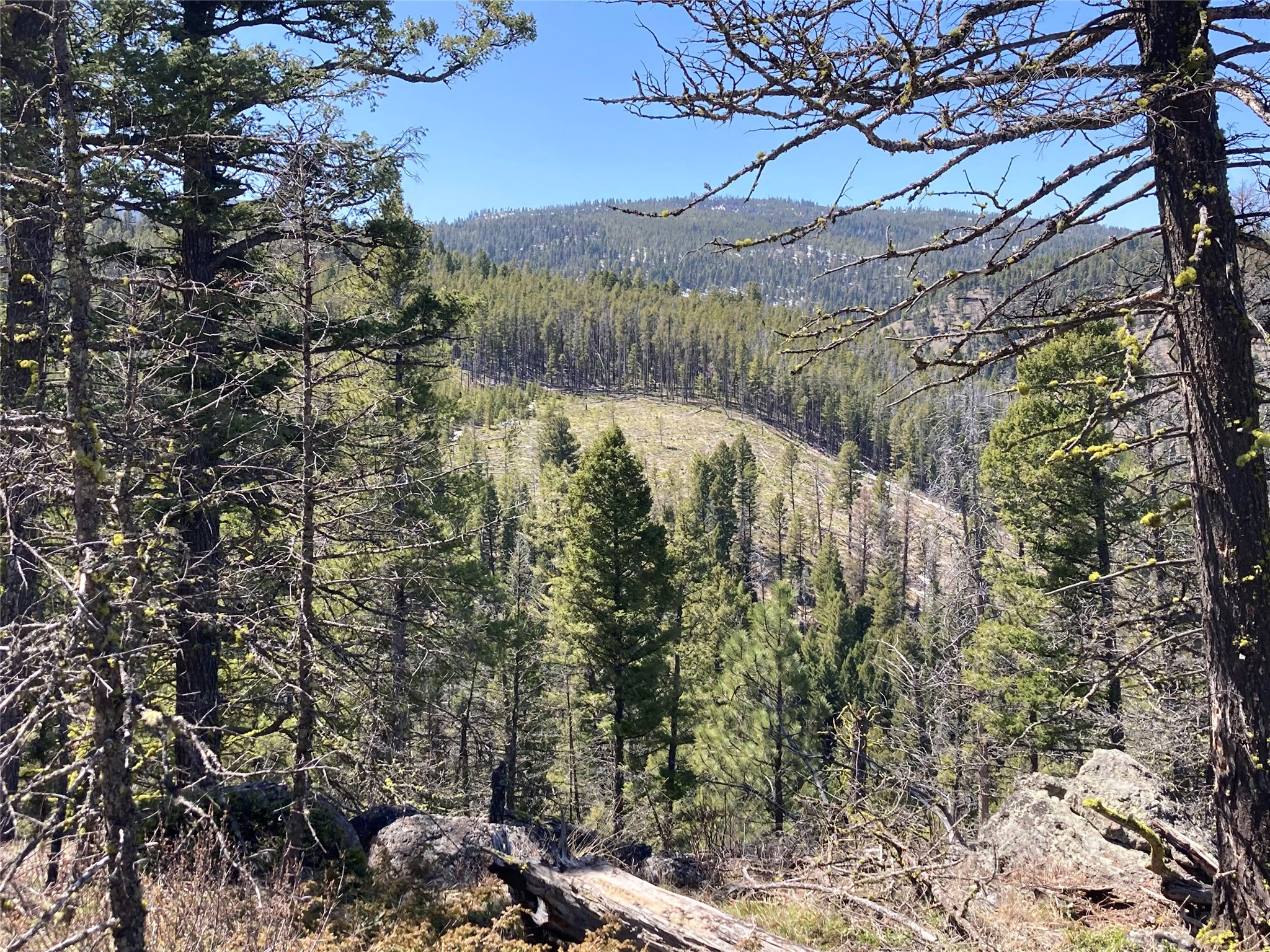 3595 Bear Gulch Road Property Photo 16