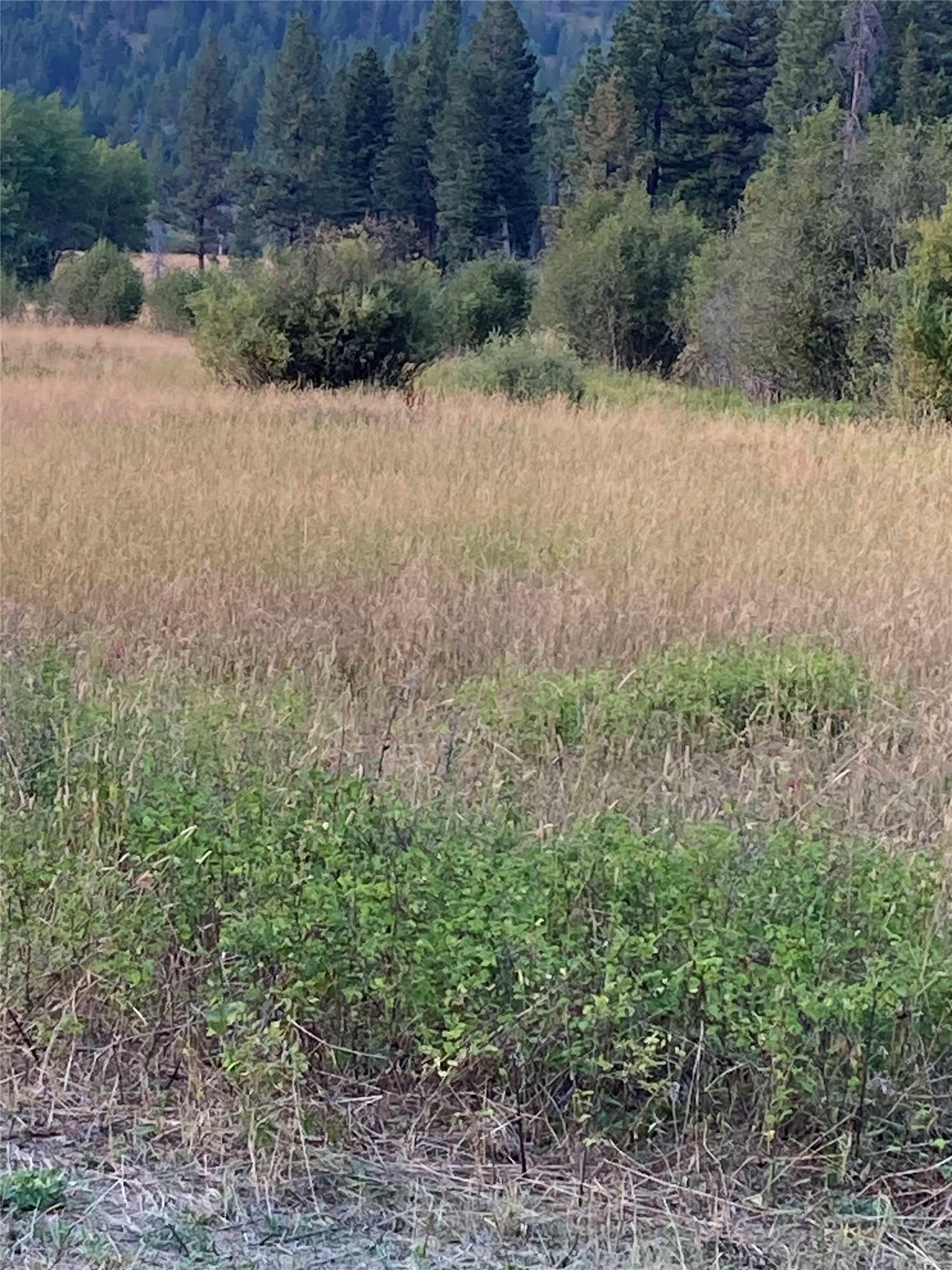 3595 Bear Gulch Road Property Photo 16