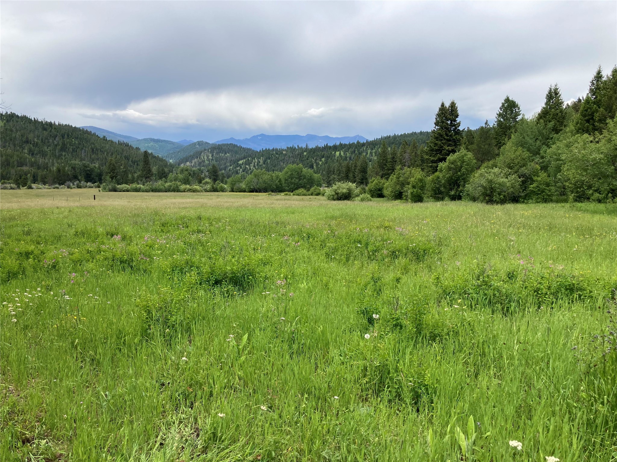 3595 Bear Gulch Road Property Photo 18