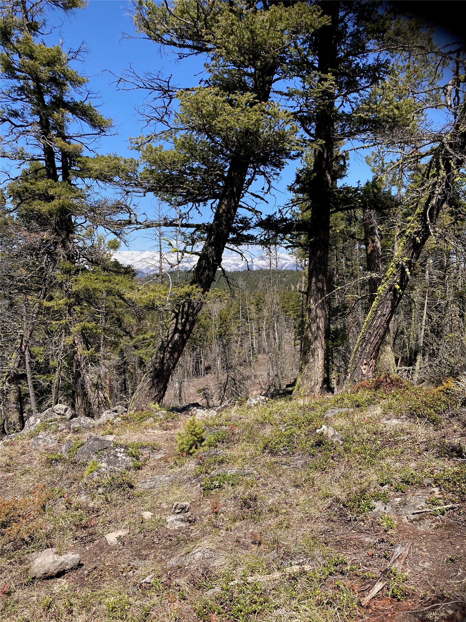 3595 Bear Gulch Road Property Photo 18
