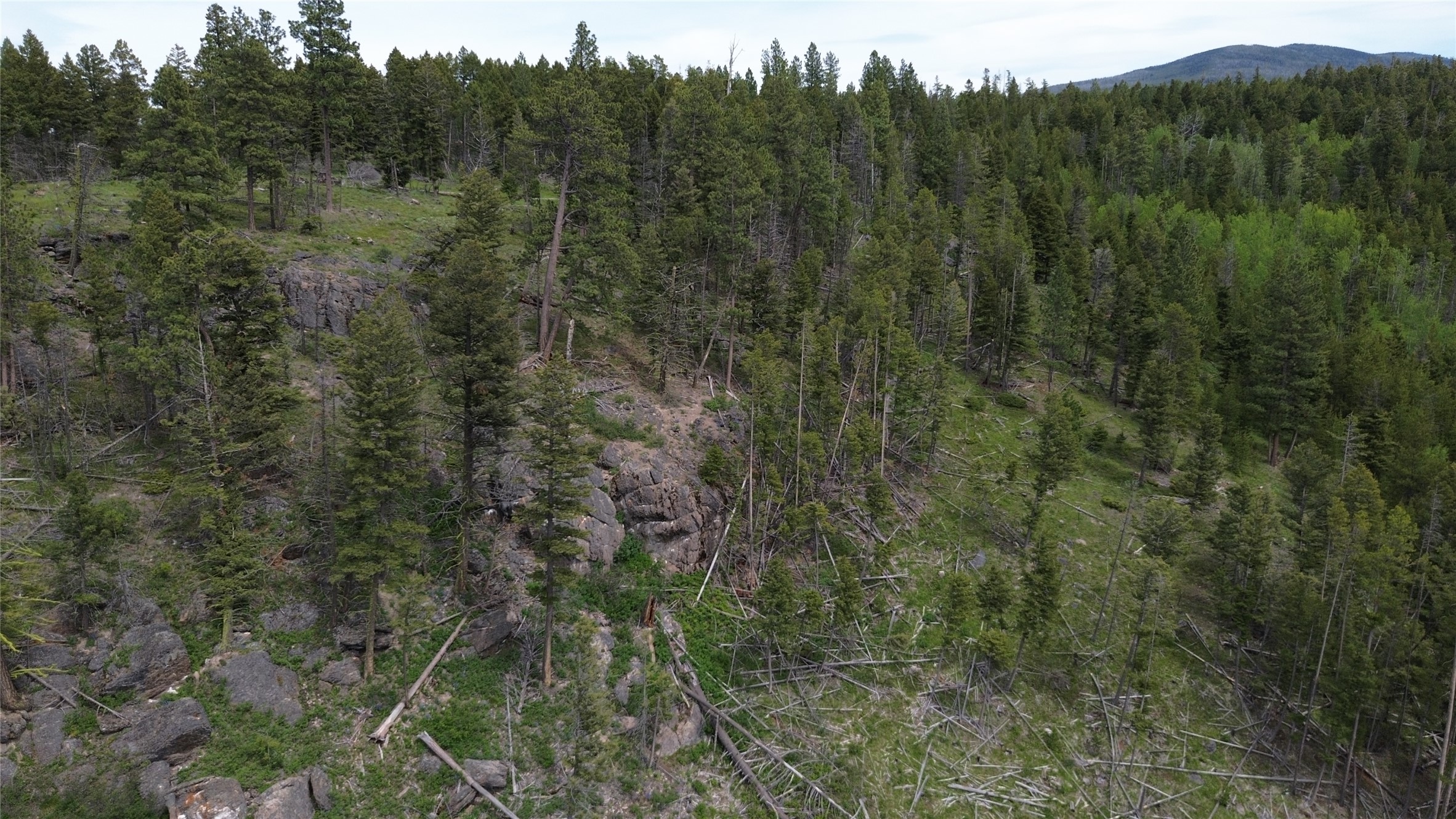 3595 Bear Gulch Road Property Photo 29