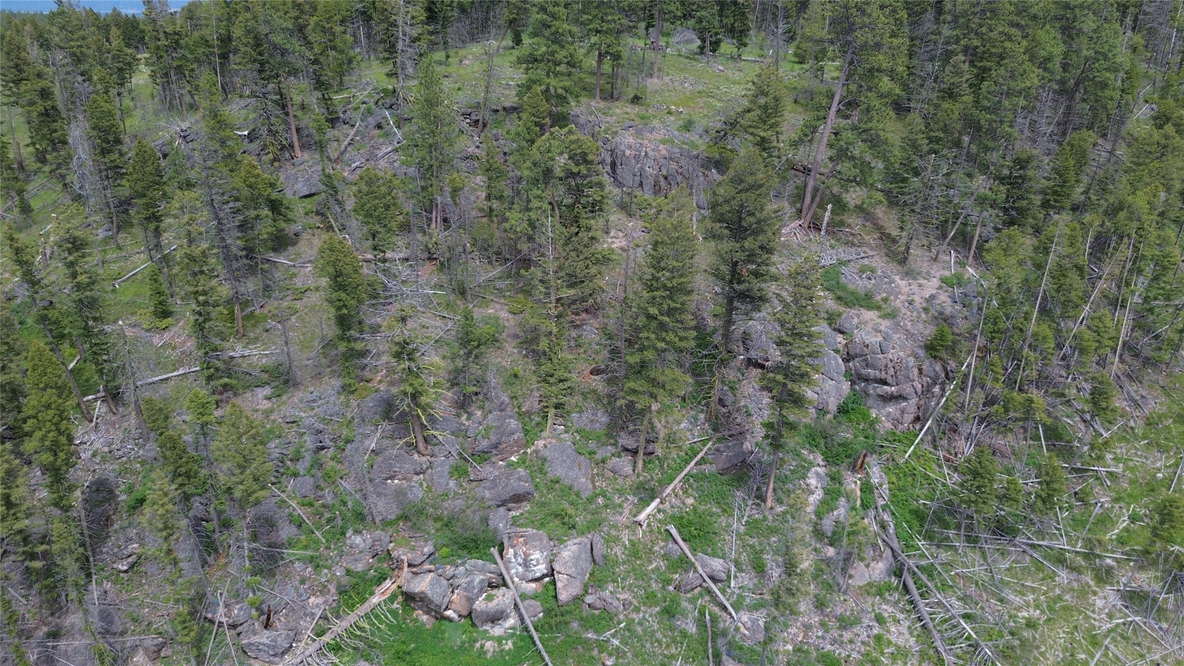 3595 Bear Gulch Road Property Photo 29