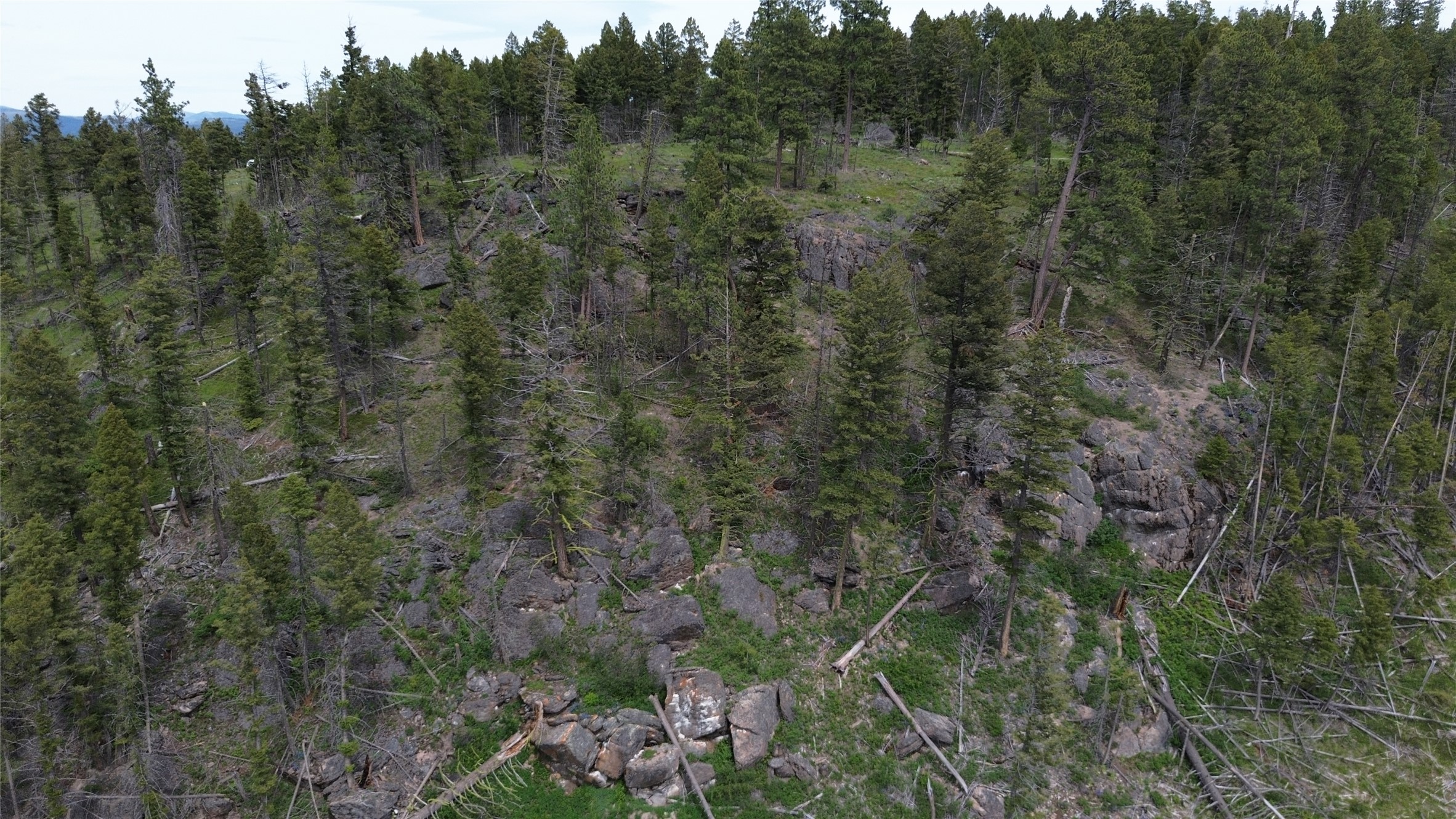 3595 Bear Gulch Road Property Photo 30