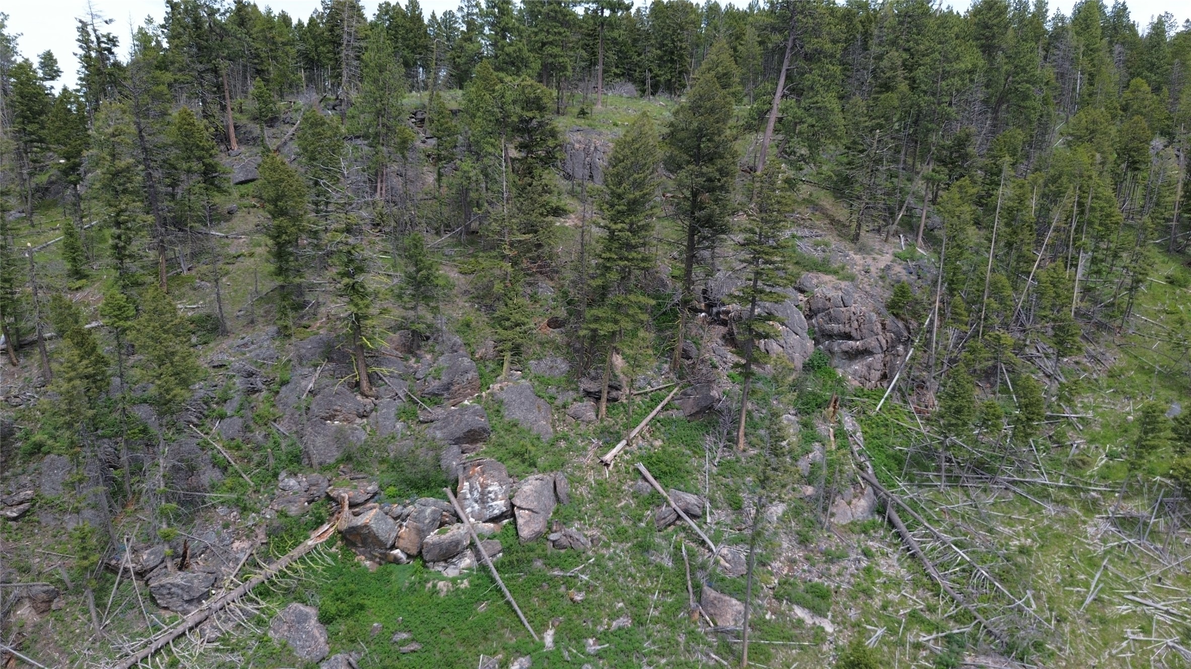 3595 Bear Gulch Road Property Photo 33