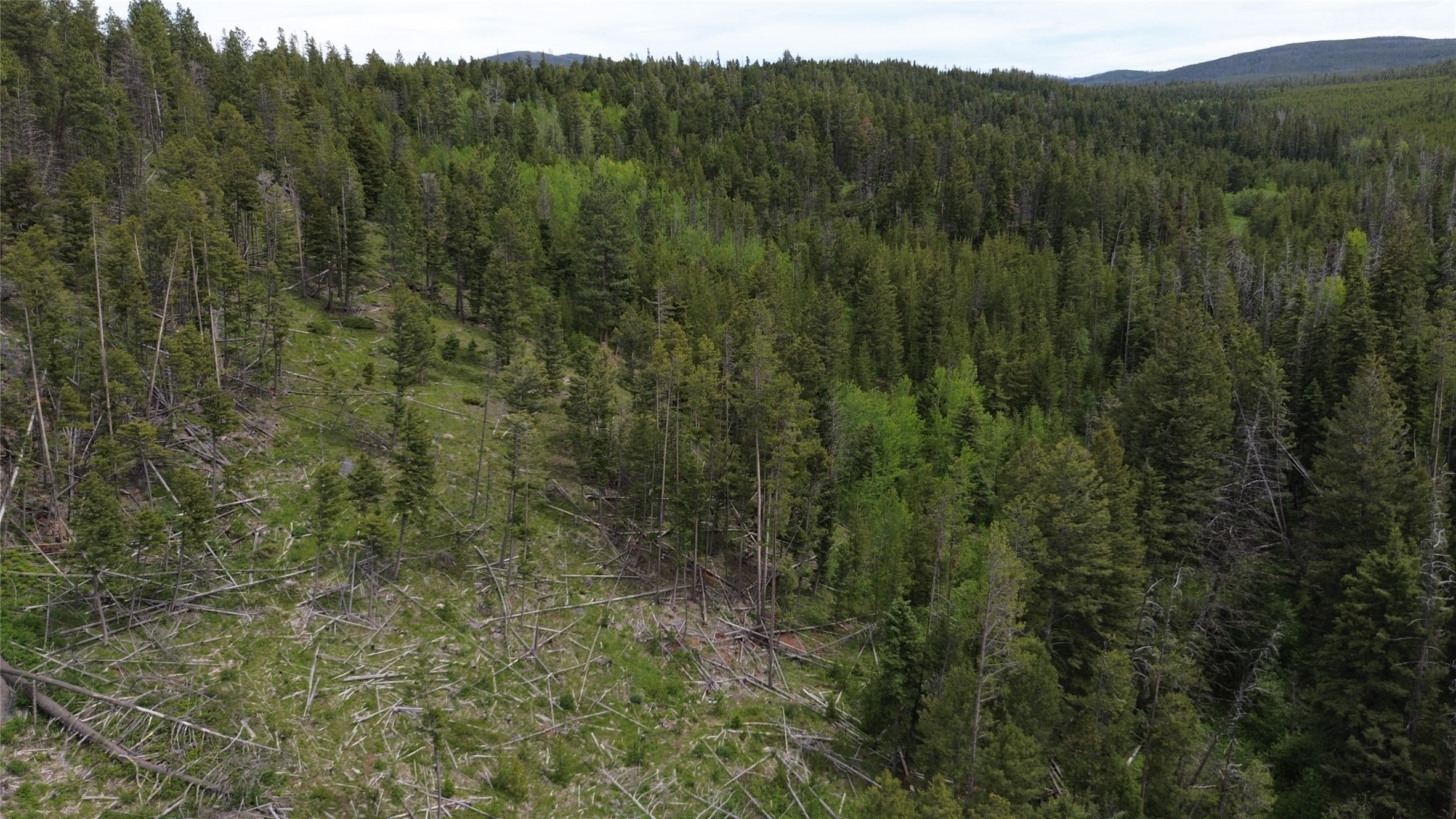 3595 Bear Gulch Road Property Photo 34