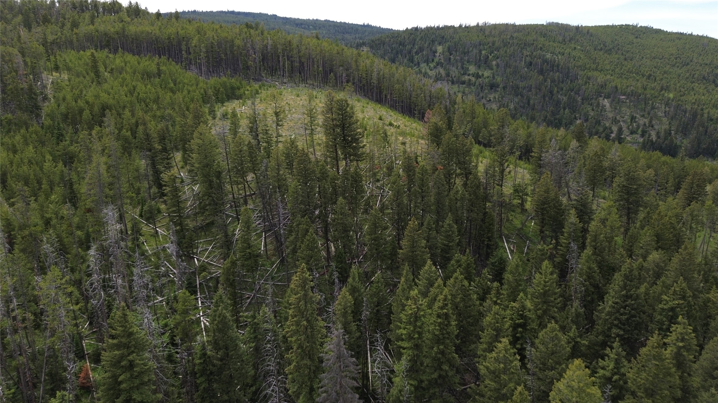 3595 Bear Gulch Road Property Photo 35