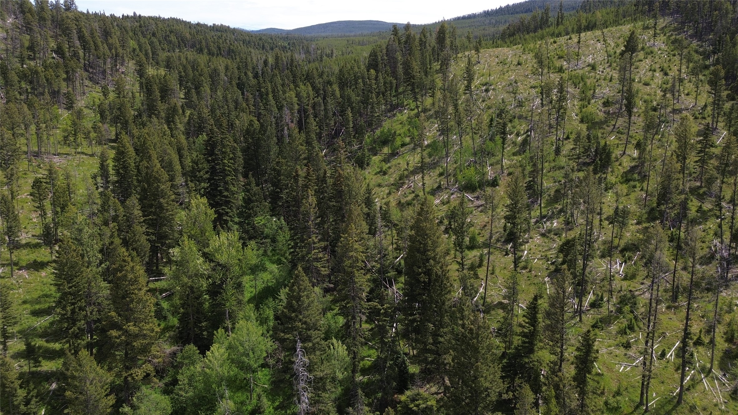 3595 Bear Gulch Road Property Photo 39