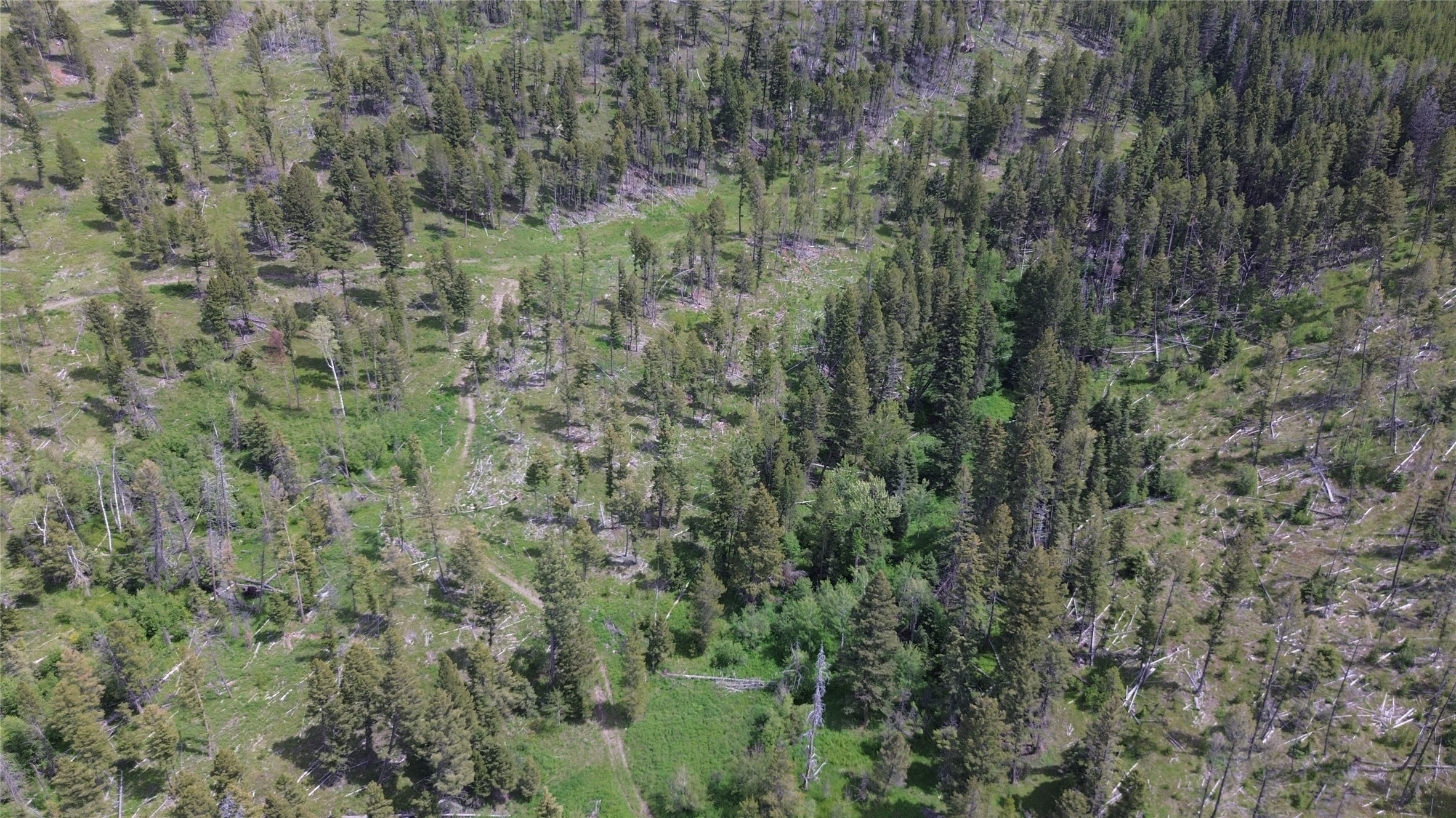 3595 Bear Gulch Road Property Photo 43