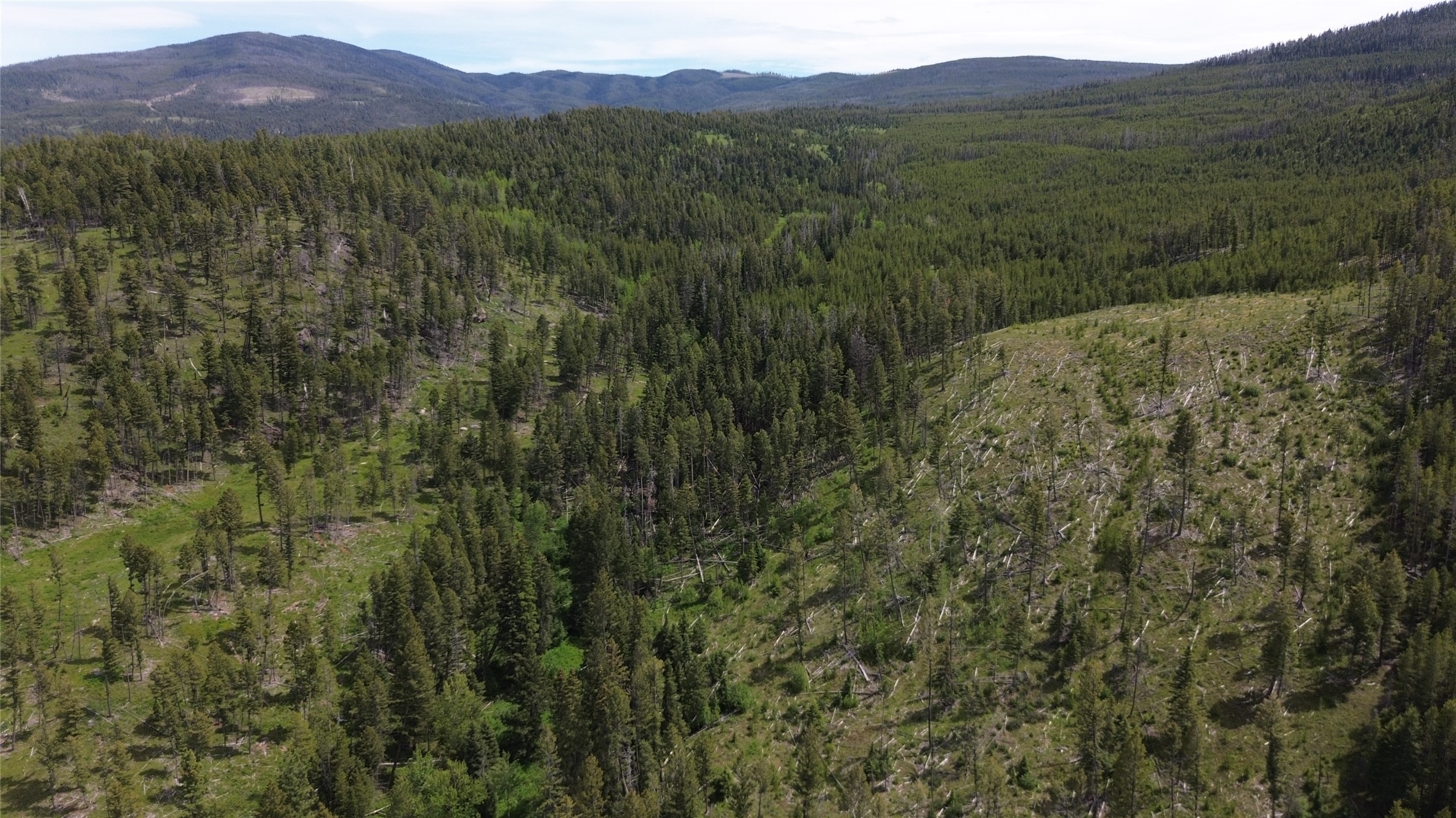 3595 Bear Gulch Road Property Photo 45