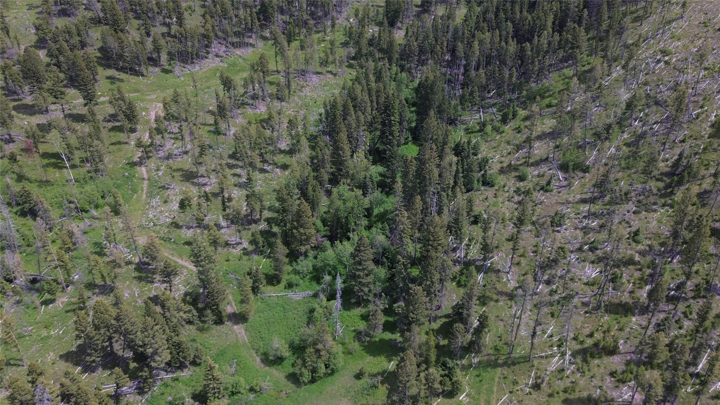 3595 Bear Gulch Road Property Photo 46