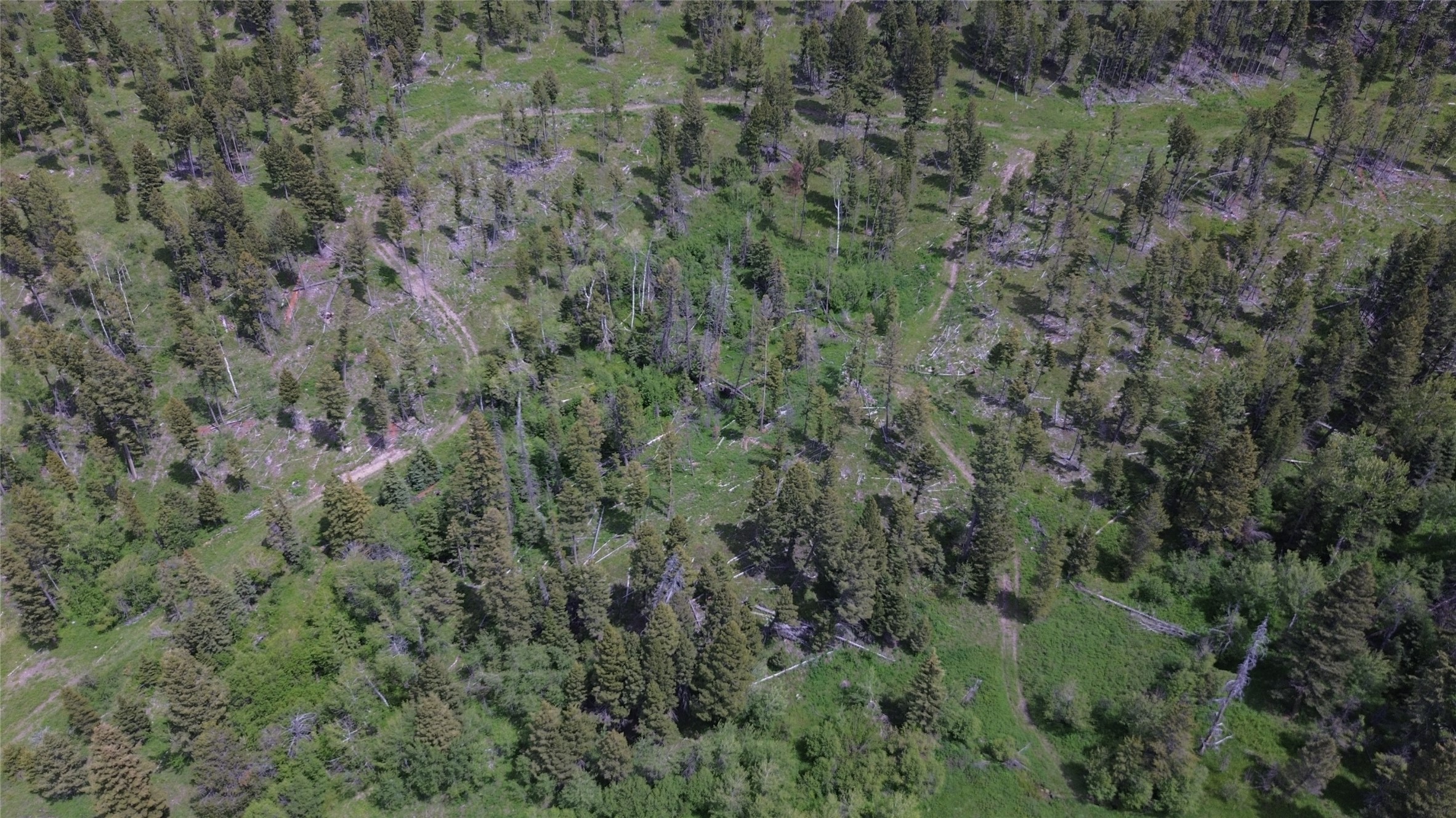 3595 Bear Gulch Road Property Photo 47